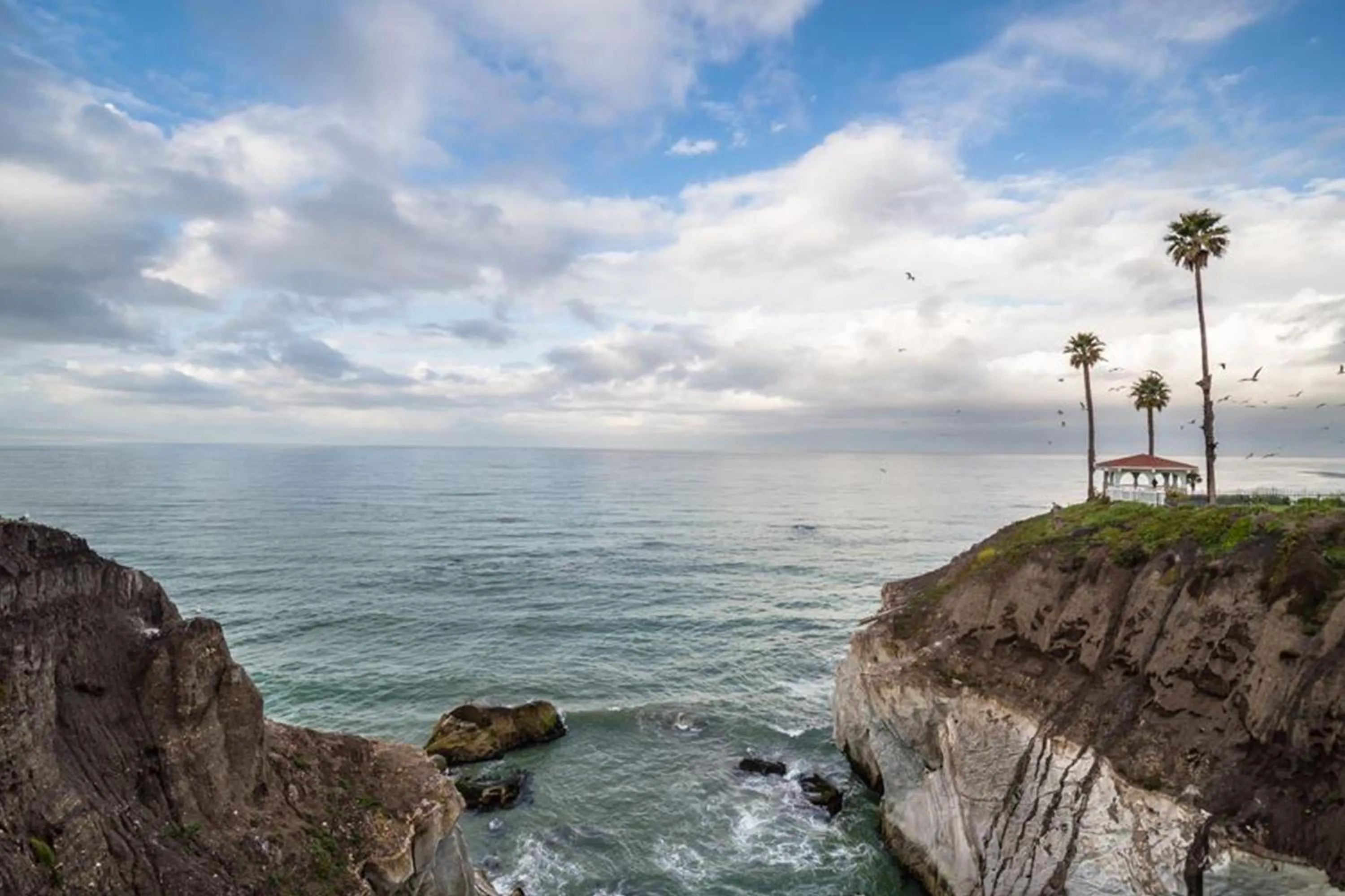Natural landscape in Shore Cliff Hotel