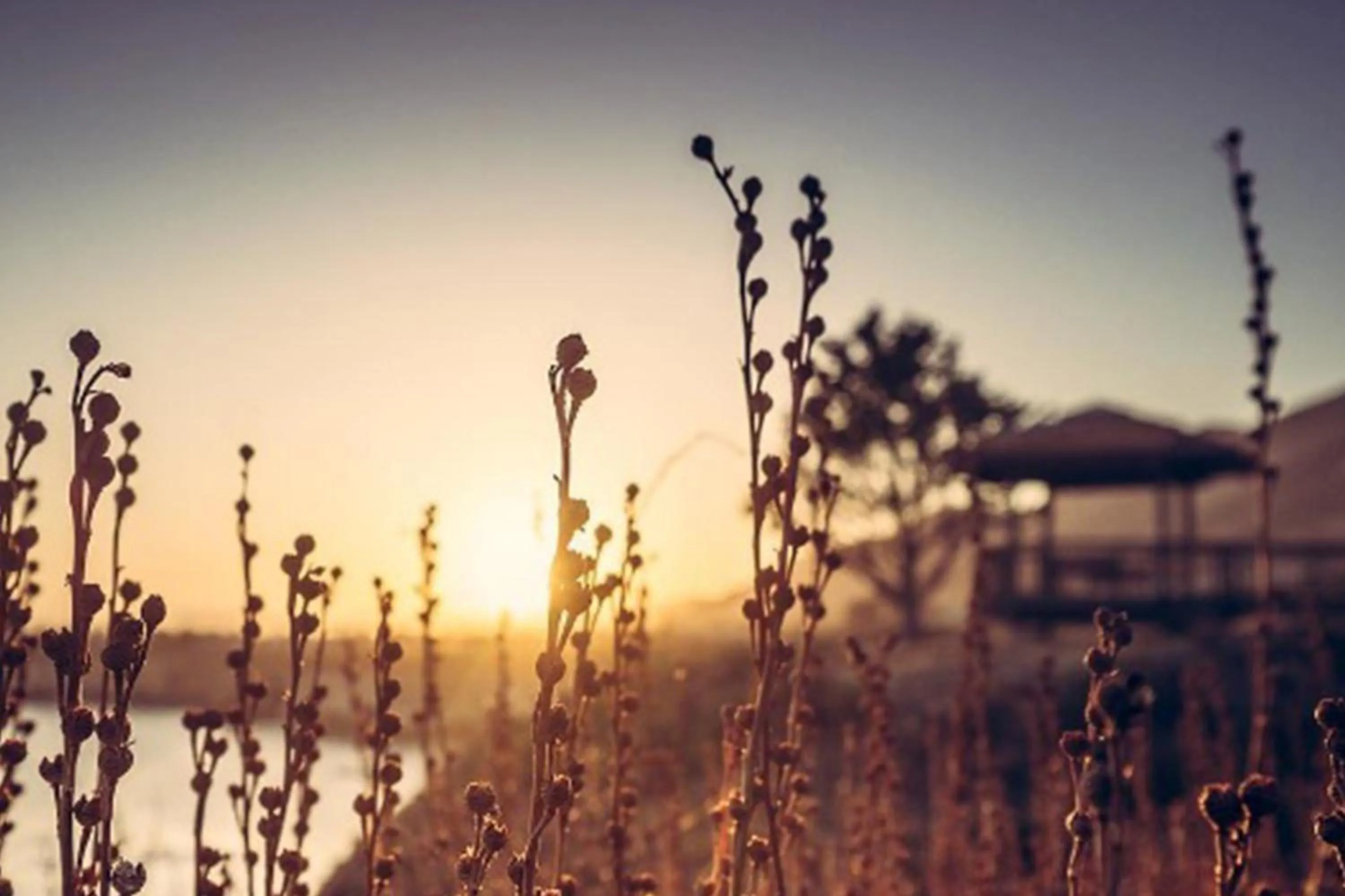 Autumn in Shore Cliff Hotel