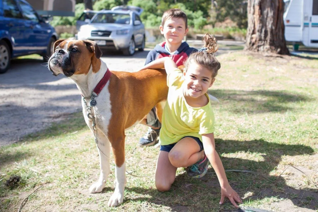 Lorne Foreshore Caravan Park