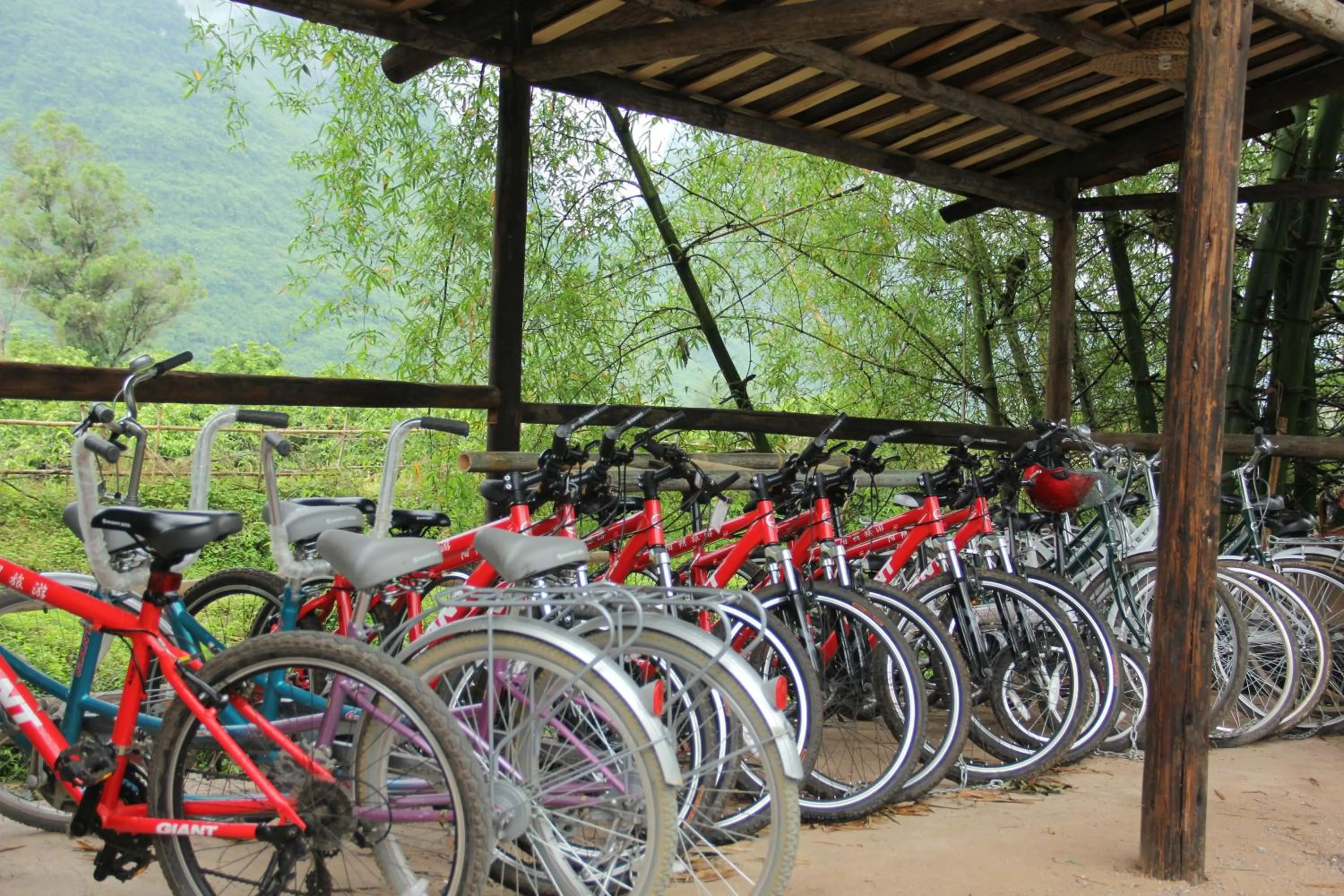 Cycling in Yangshuo Tea Cozy--one way Free pick up from airport or TS 4 nights