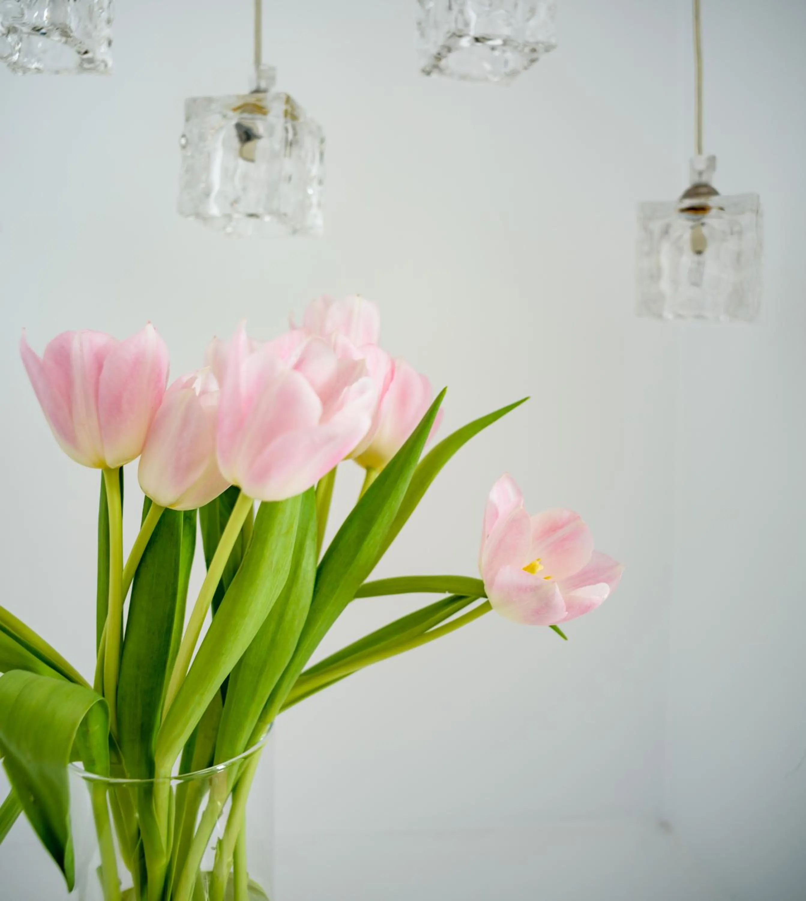 Decorative detail in Above Blue Suites