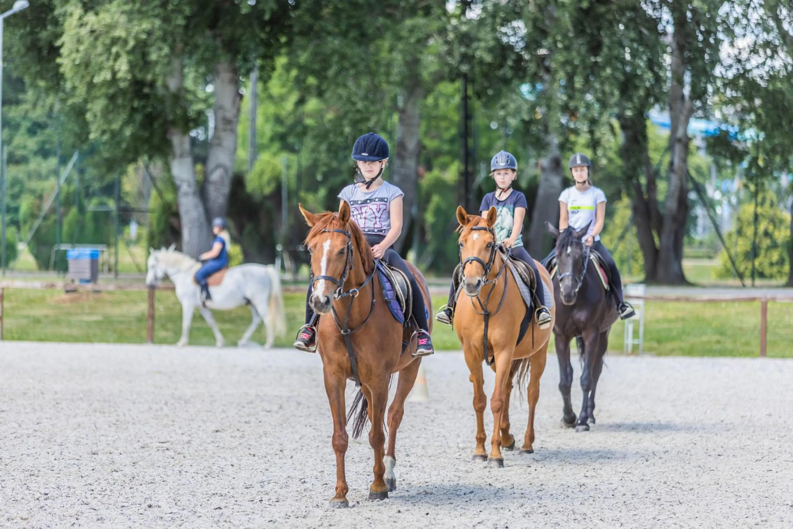 Horse-riding in Vadkert Major