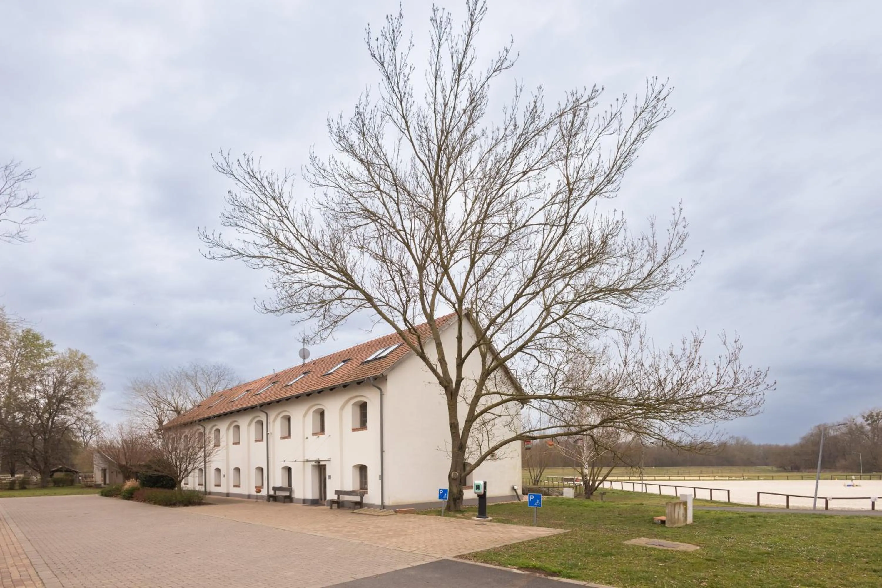 Property building in Vadkert Major