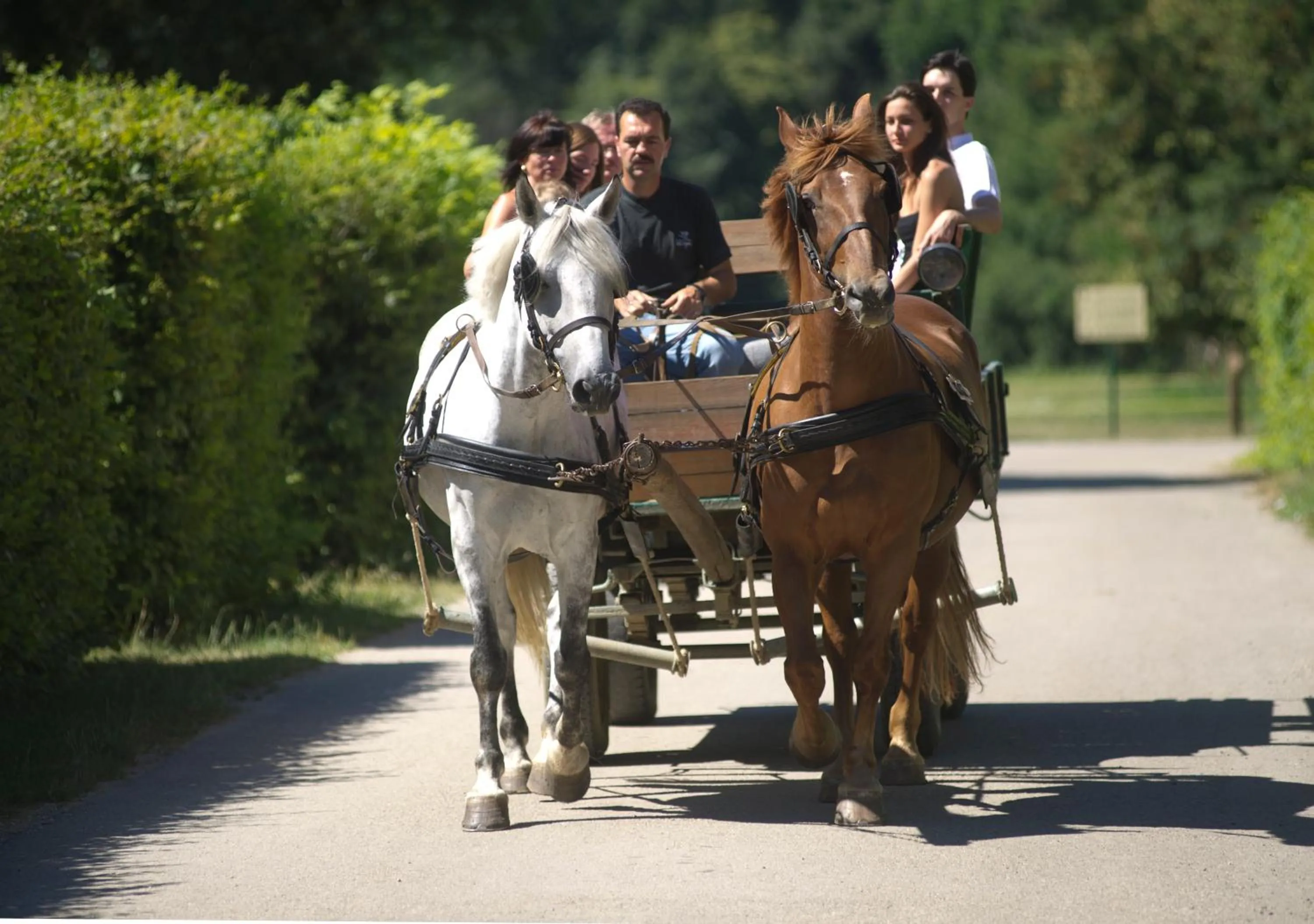 Day in Vadkert Major