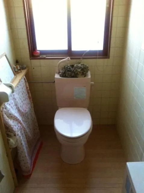 Toilet in Niseko Side 6