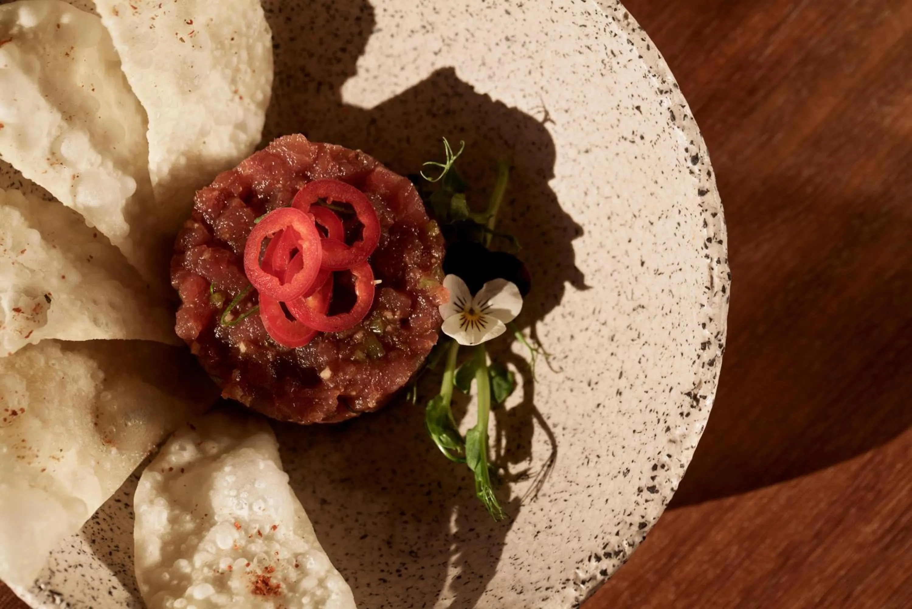 Pets in Andronis Arcadia Hotel