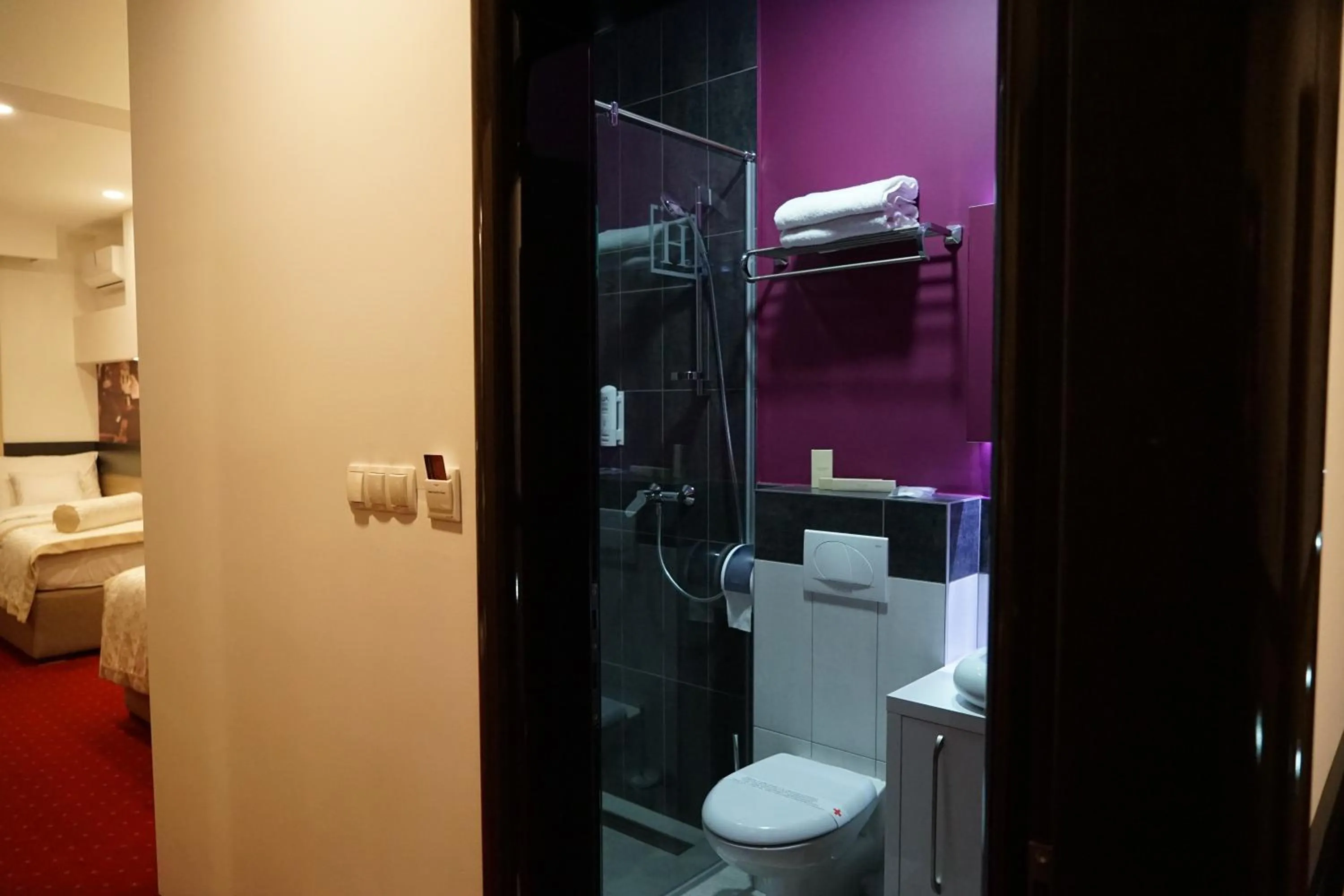 Shower in Hotel Hercegovina