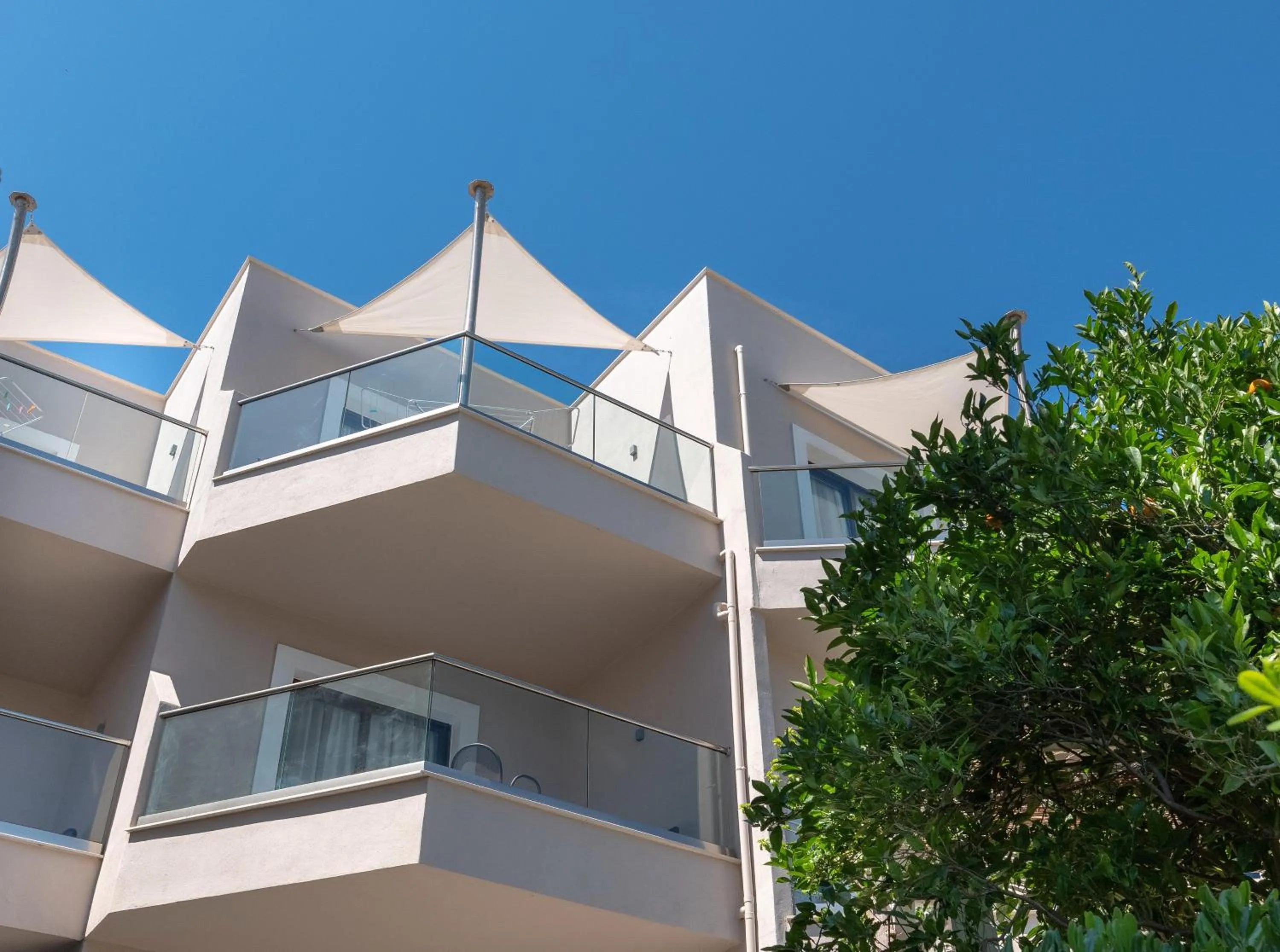 Area and facilities in Eva Mare Hotel & Suites - Adults only