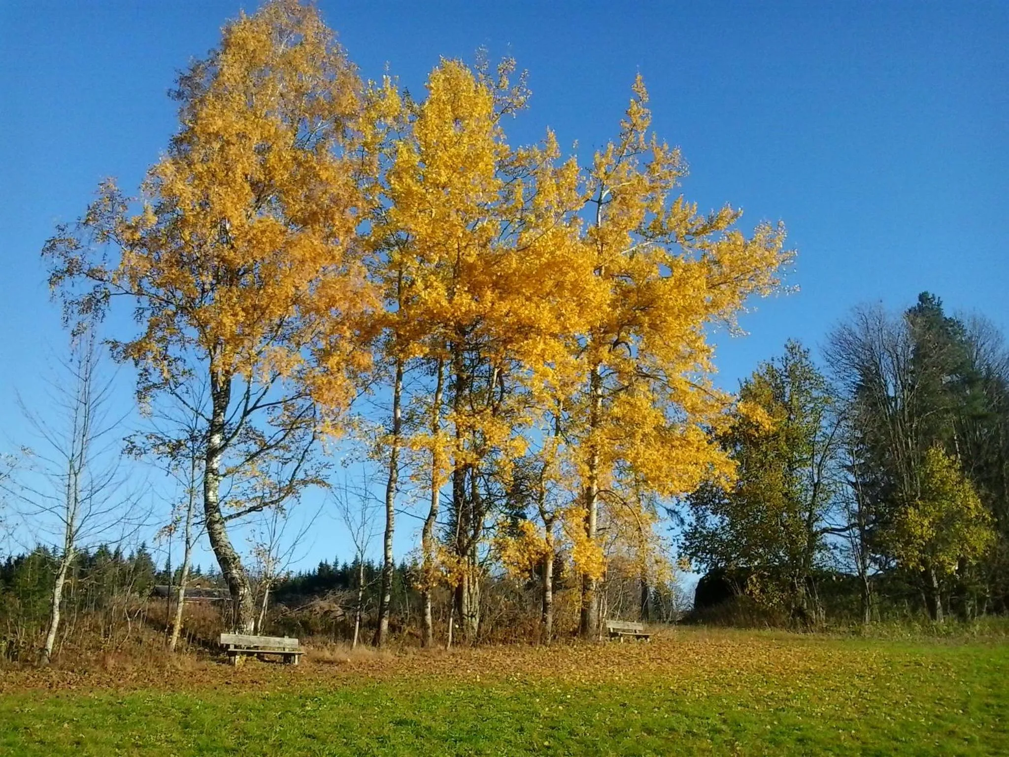 Natural landscape in Pension Felsenheim