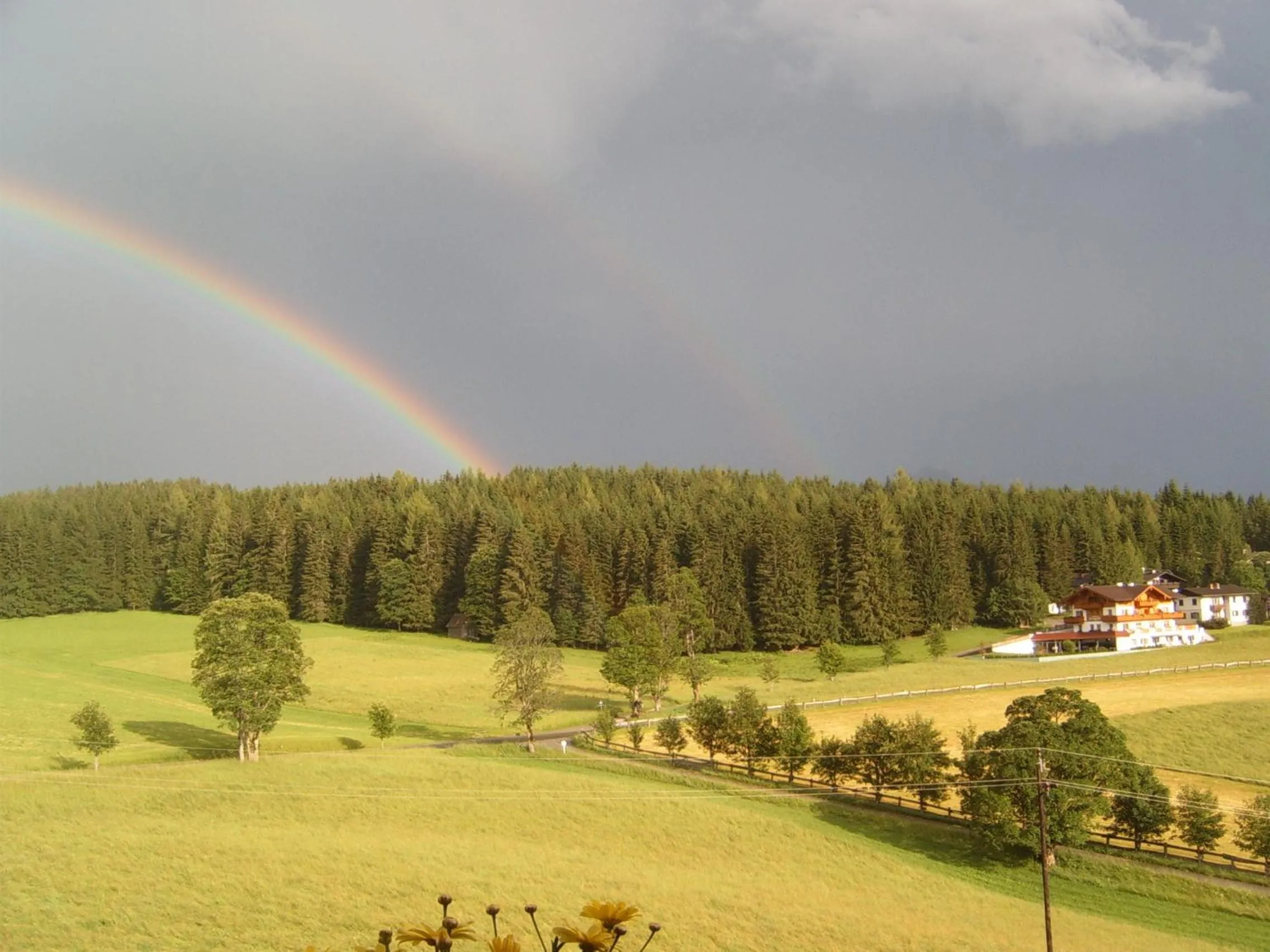 On site in Pension Felsenheim