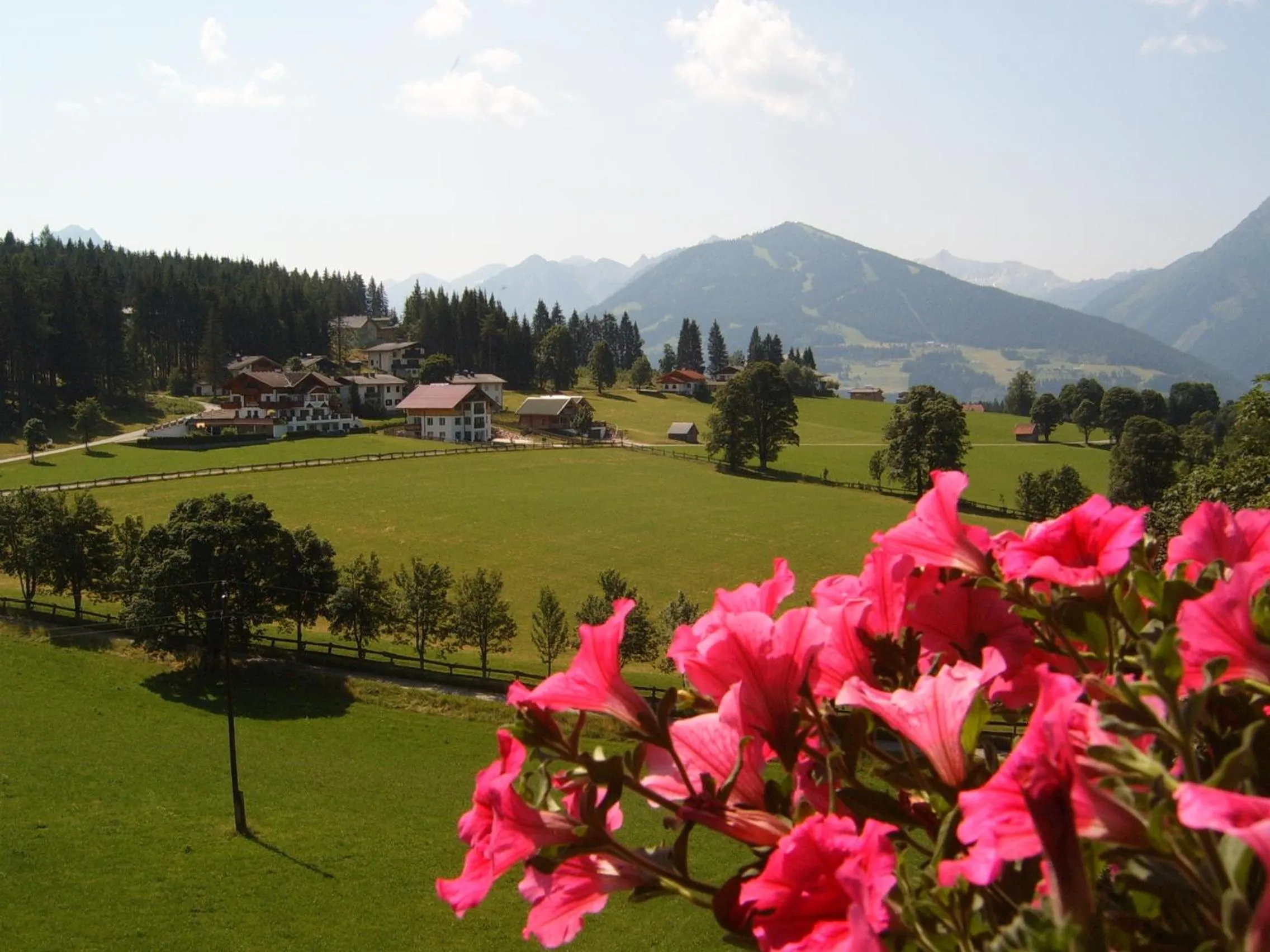 On site in Pension Felsenheim