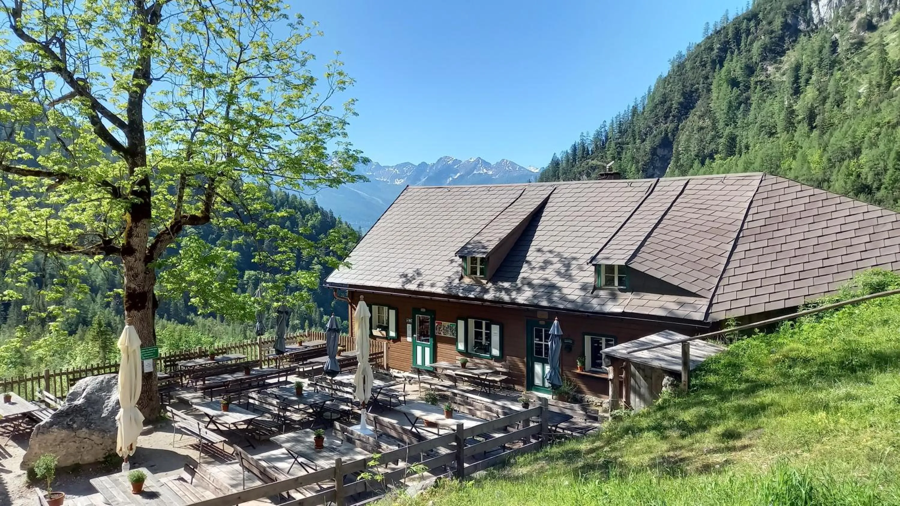 Hiking in Pension Felsenheim