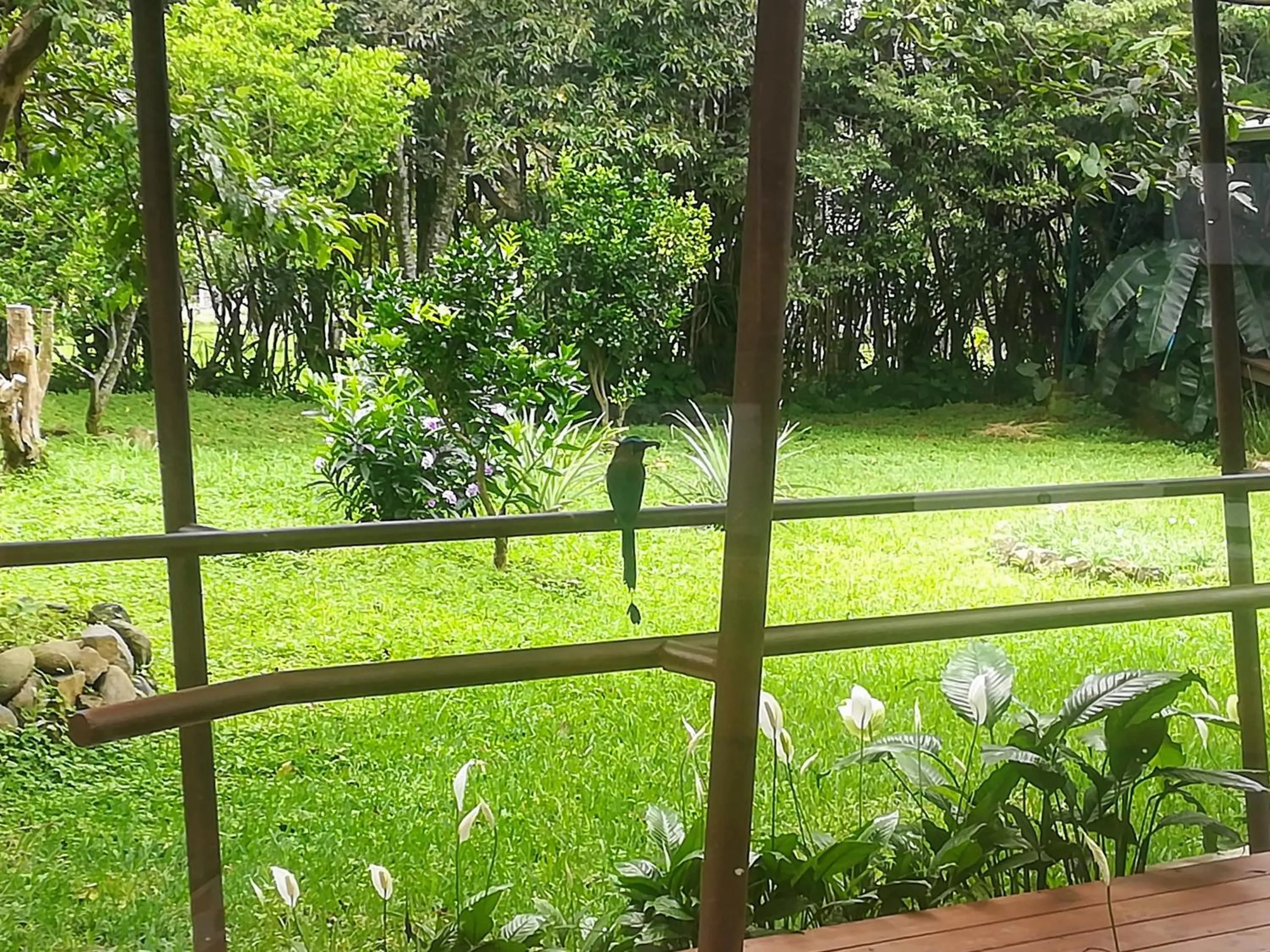 Garden in Hotel Pibi Boreal