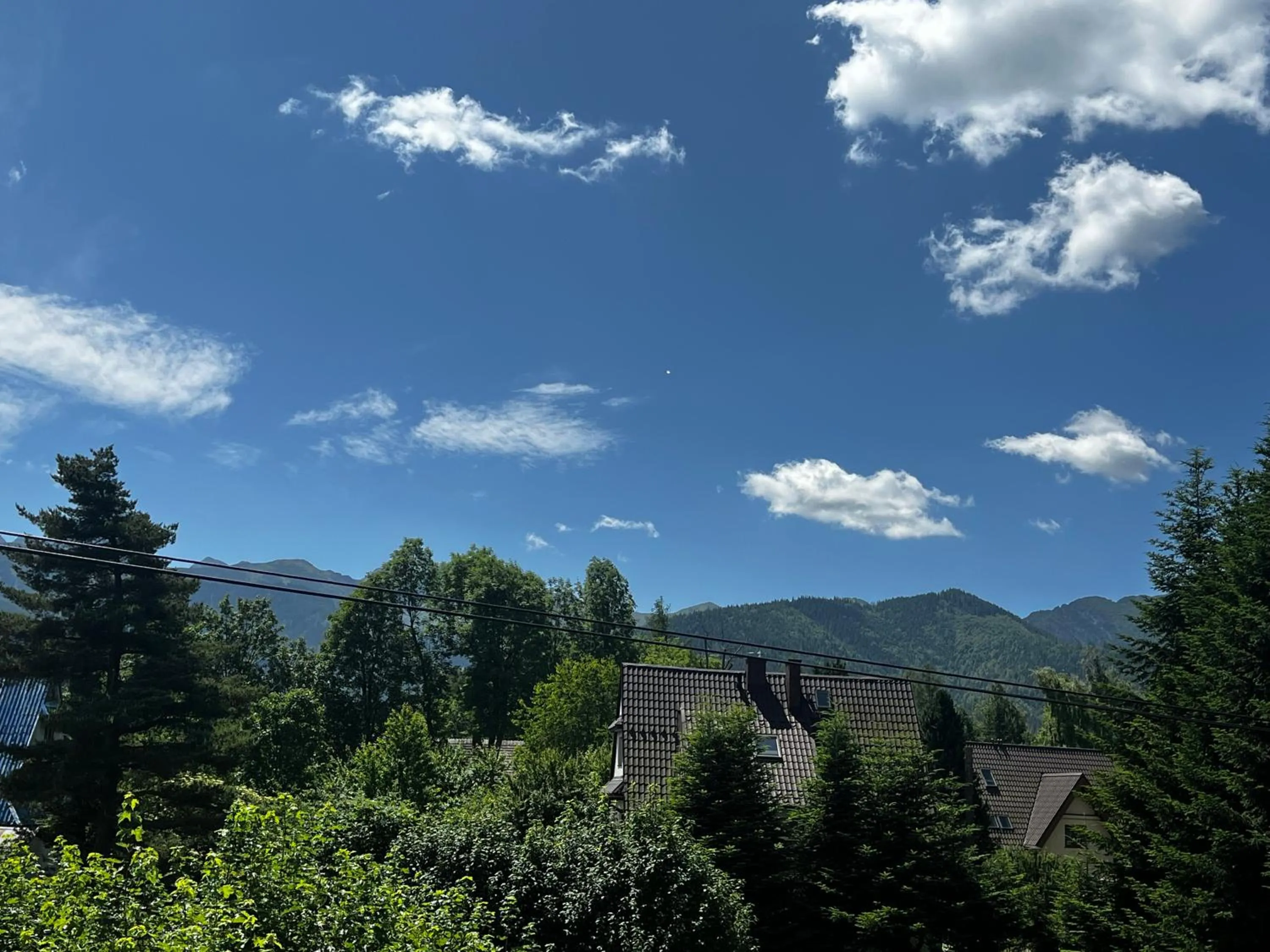 Natural landscape in Villa Słonecznego Wzgórza