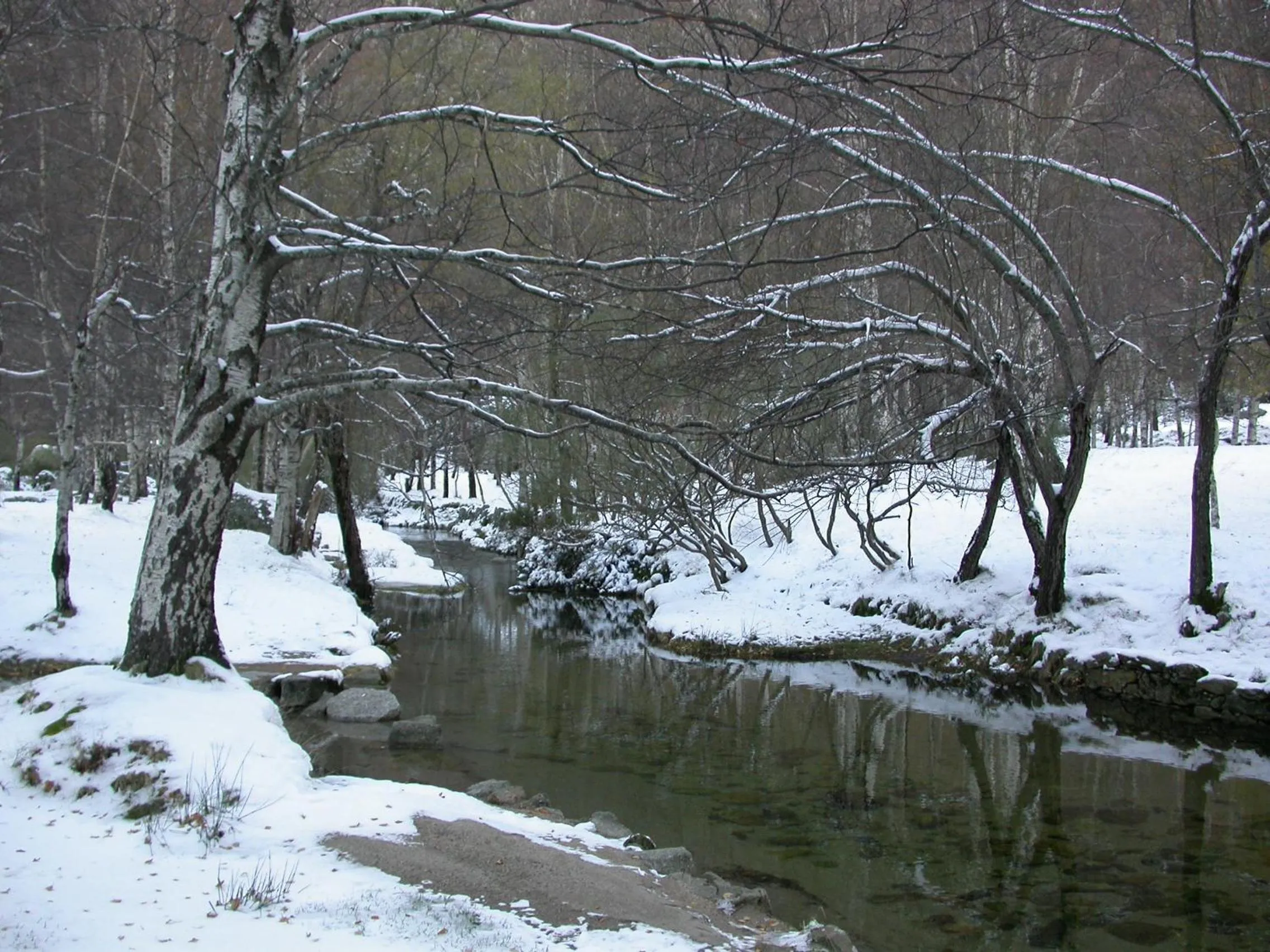 Off site in Hotel Senhora do Espinheiro