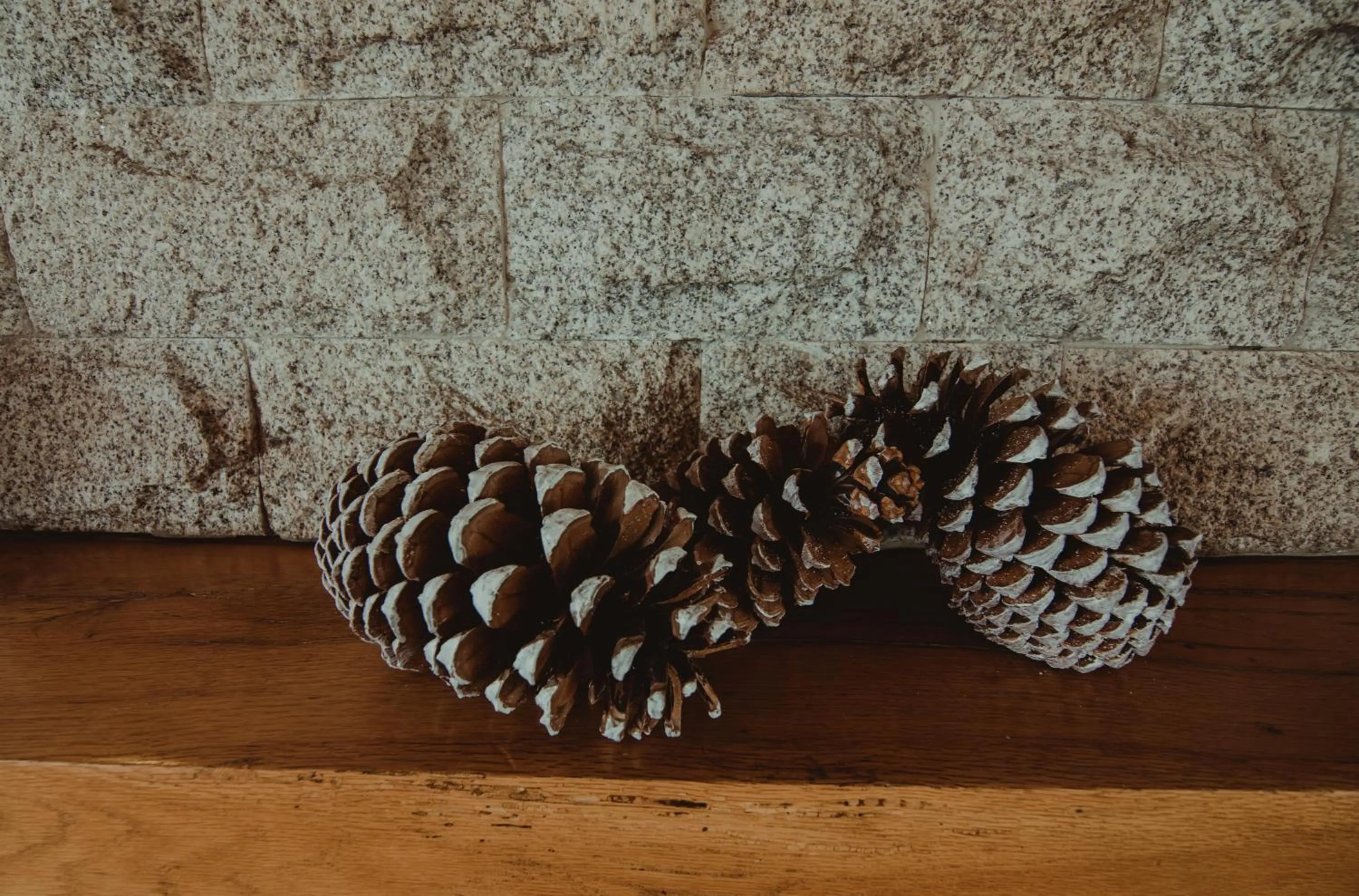 Lounge or bar in Hotel Senhora do Espinheiro