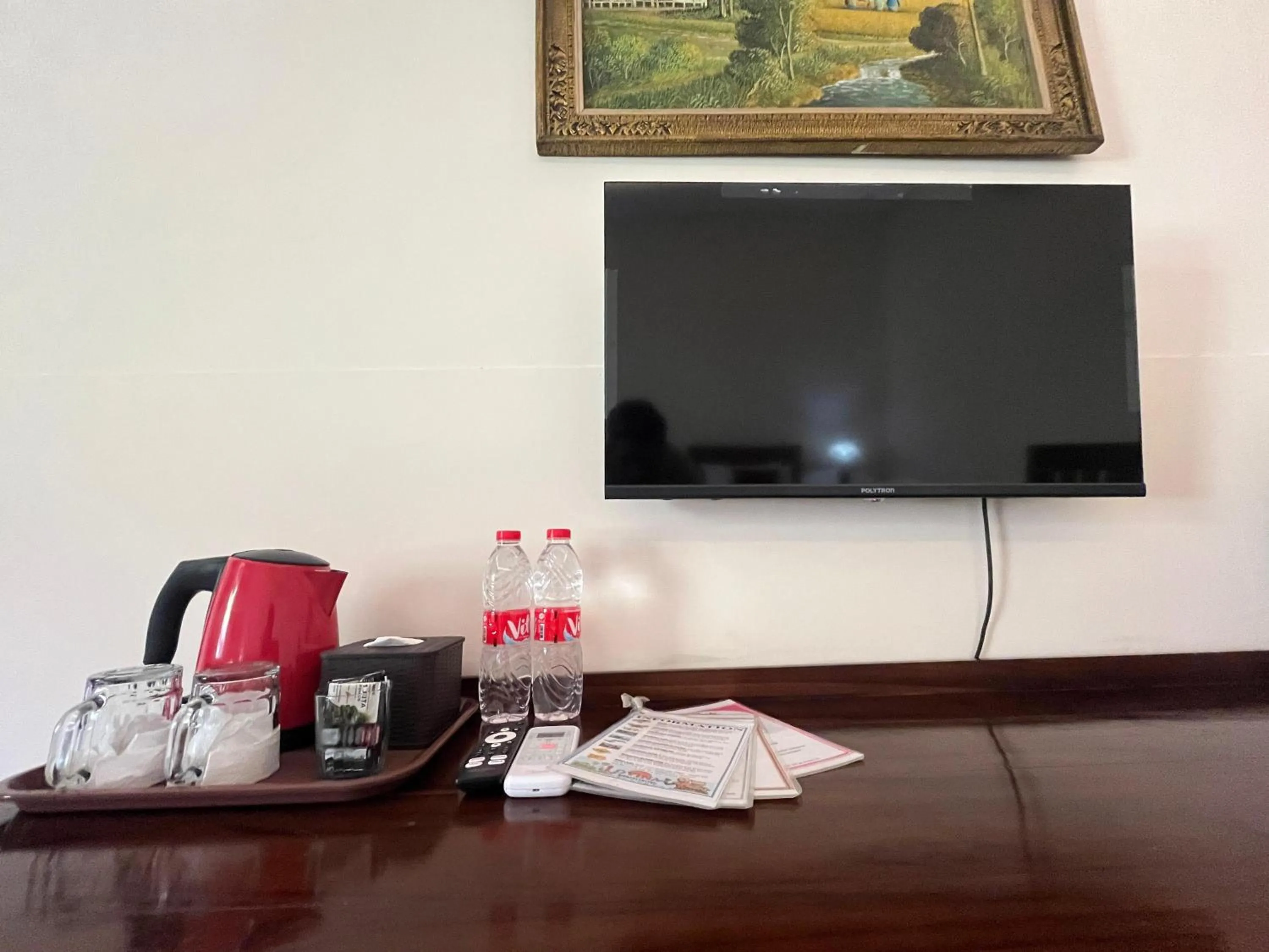 TV and multimedia in Lovina Beach Hotel