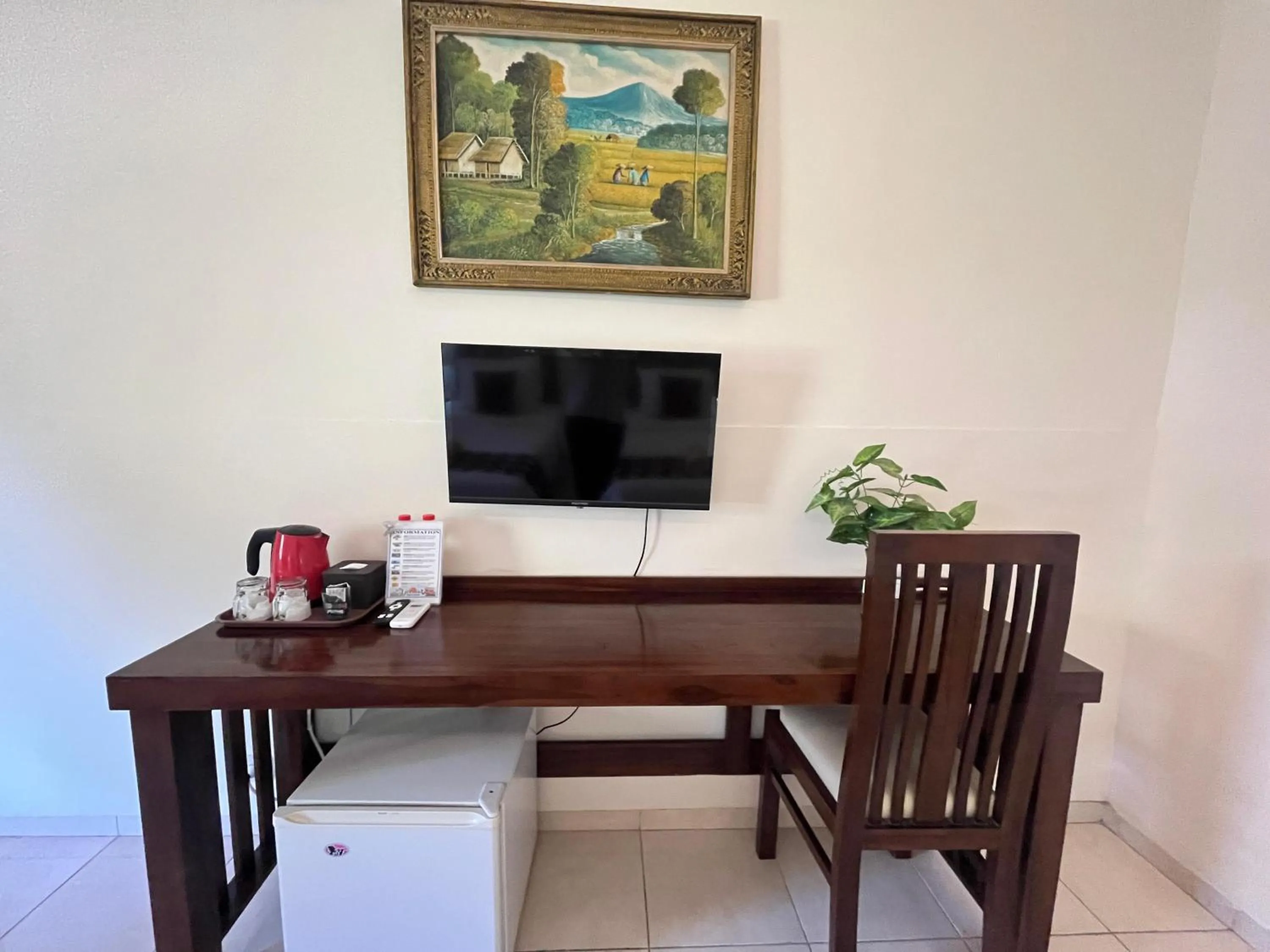 TV and multimedia in Lovina Beach Hotel