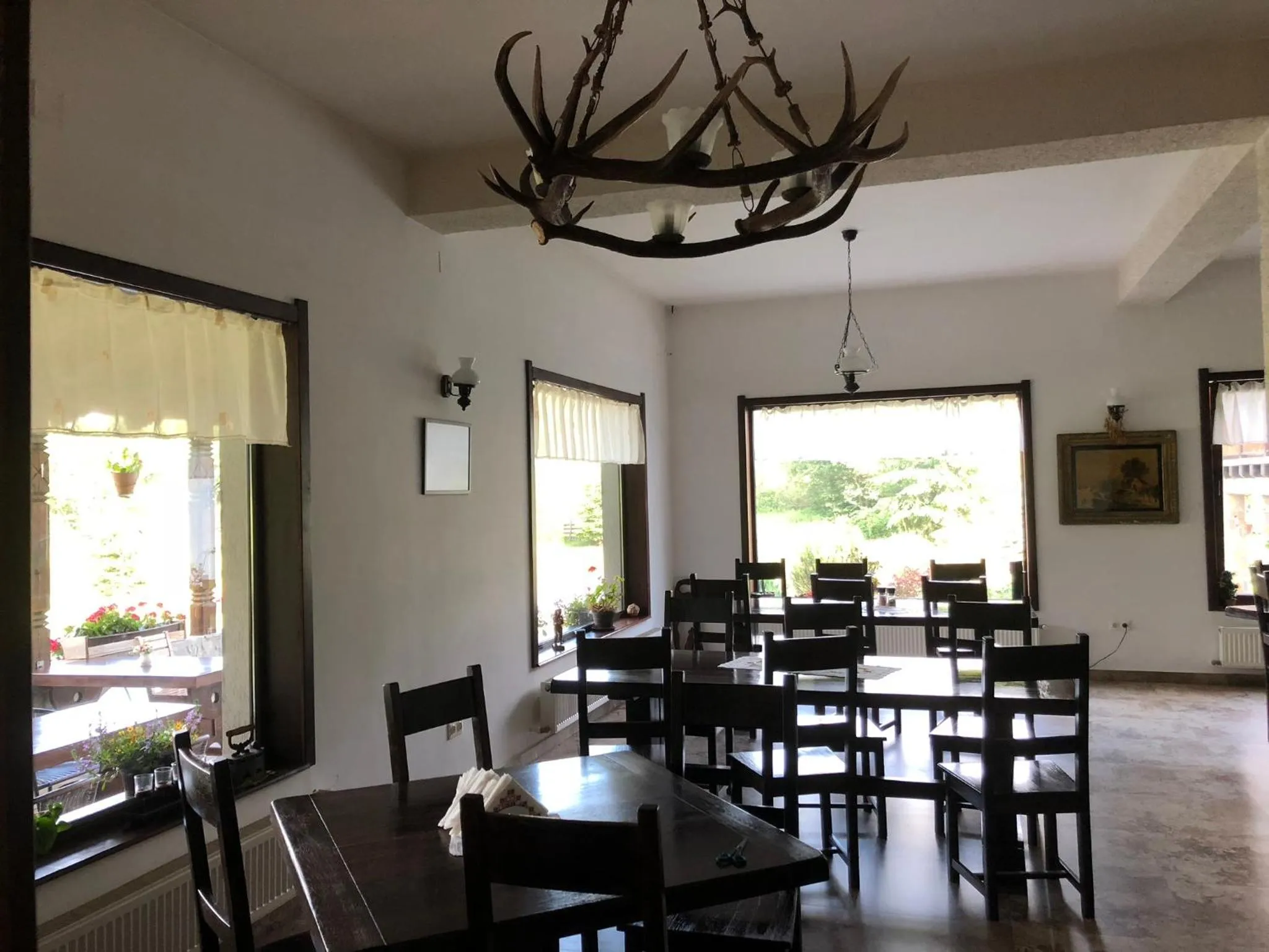 Restaurant/places to eat in Valea Salbatica