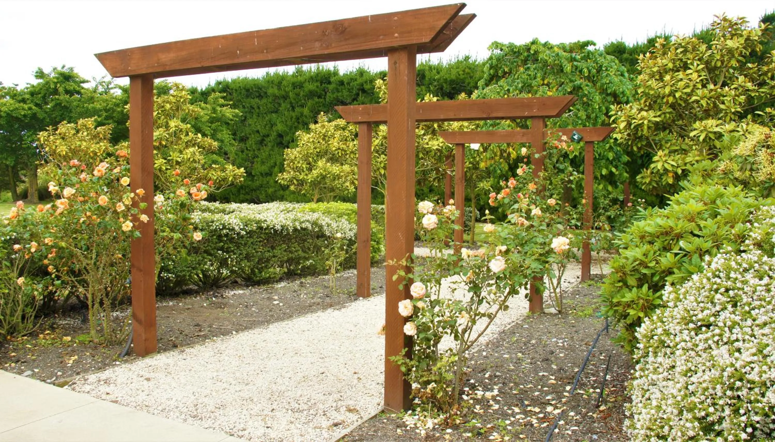 Tuscany Downs Estate