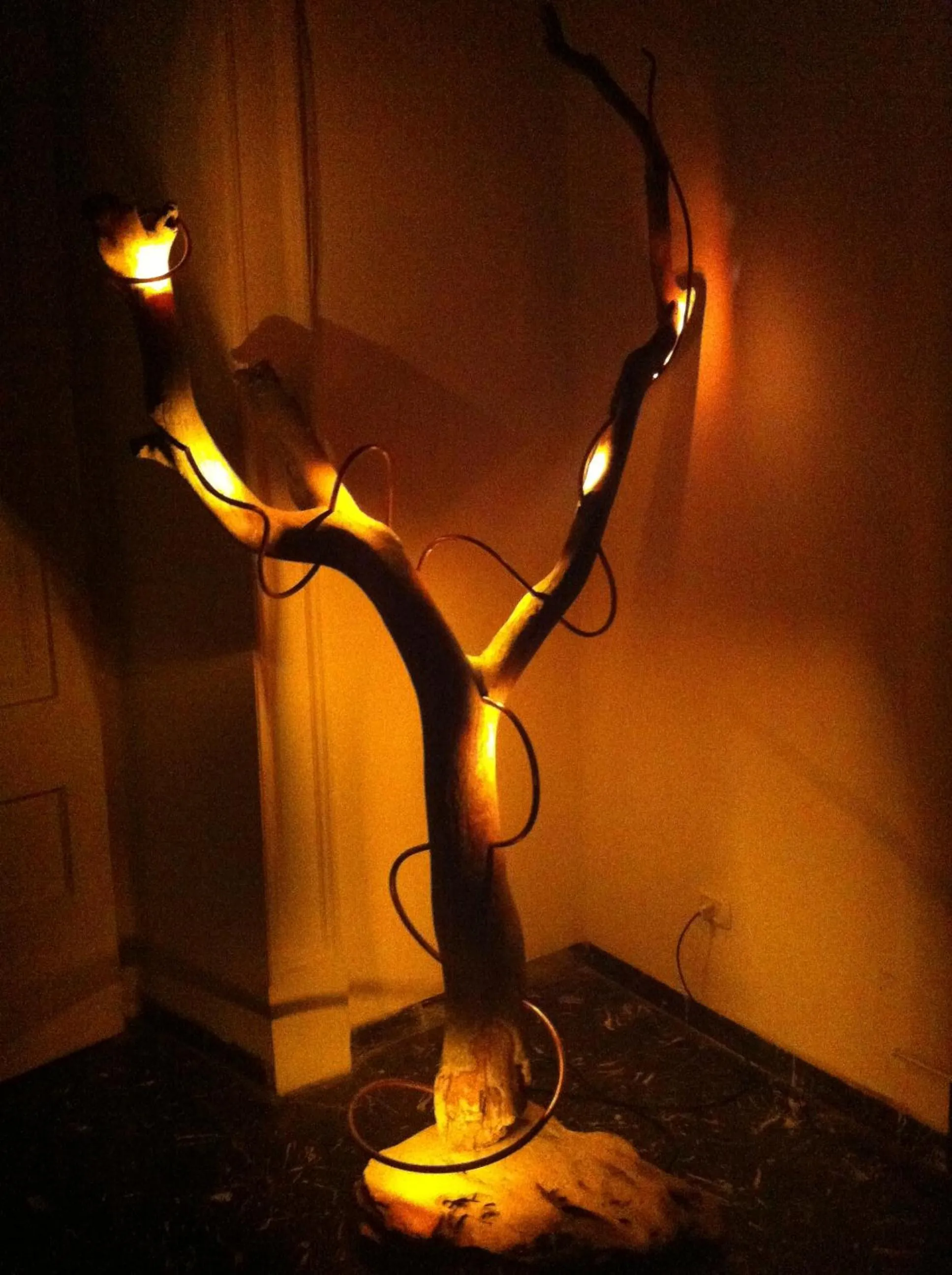 Lounge or bar in La Tela Bianca