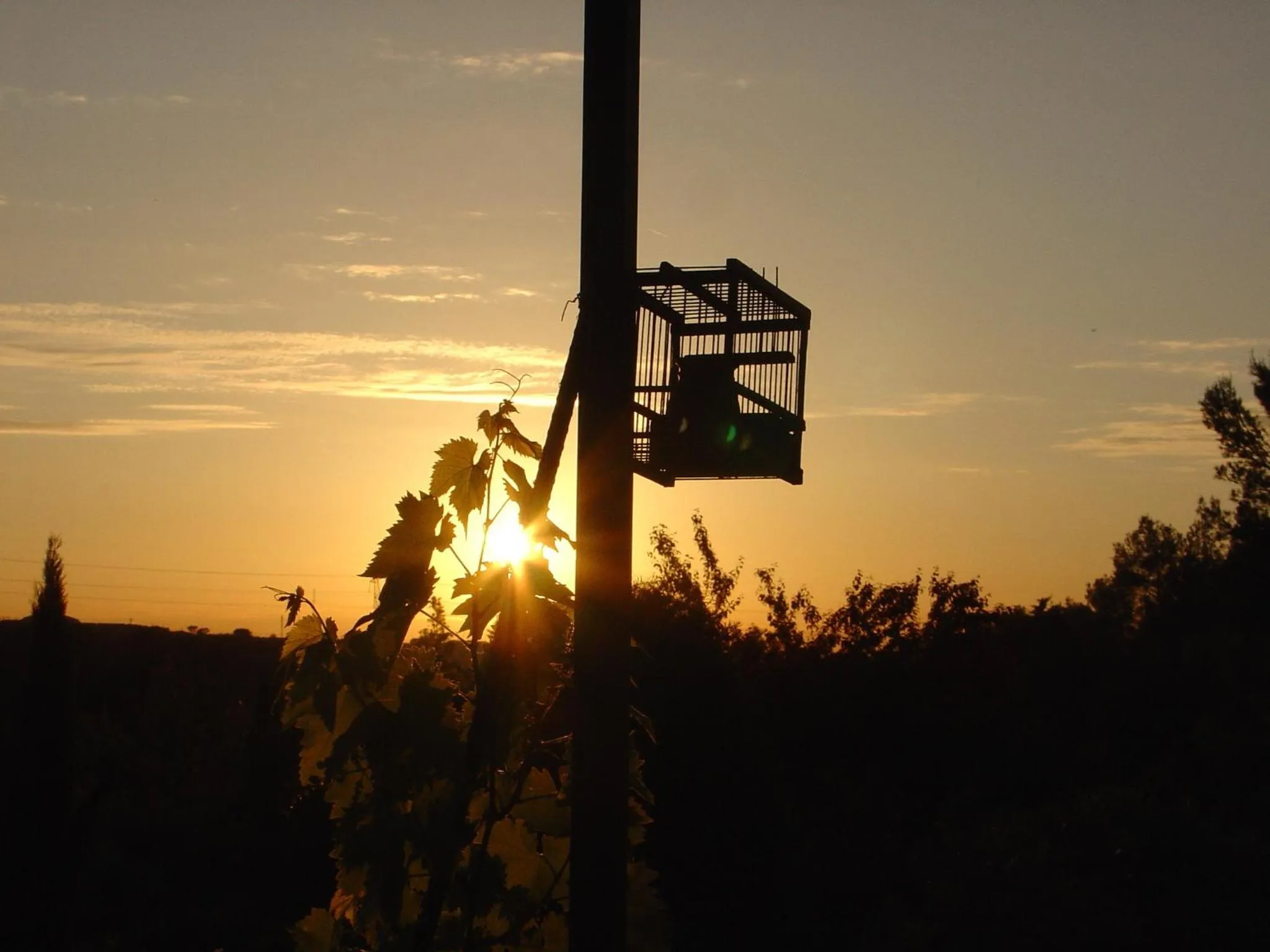 View (from property/room) in La Bastide Tara