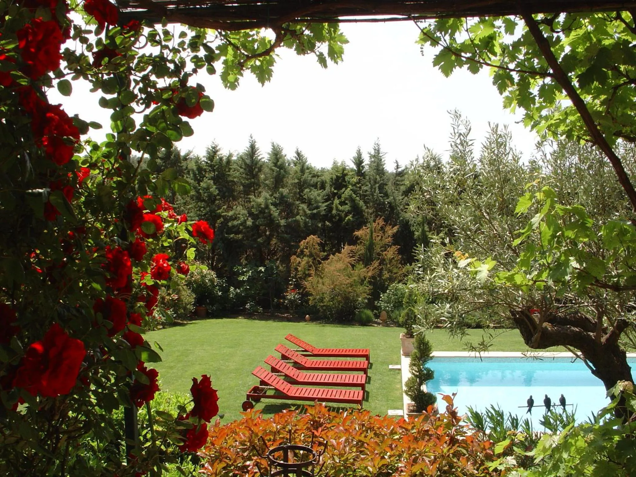 Garden in La Bastide Tara