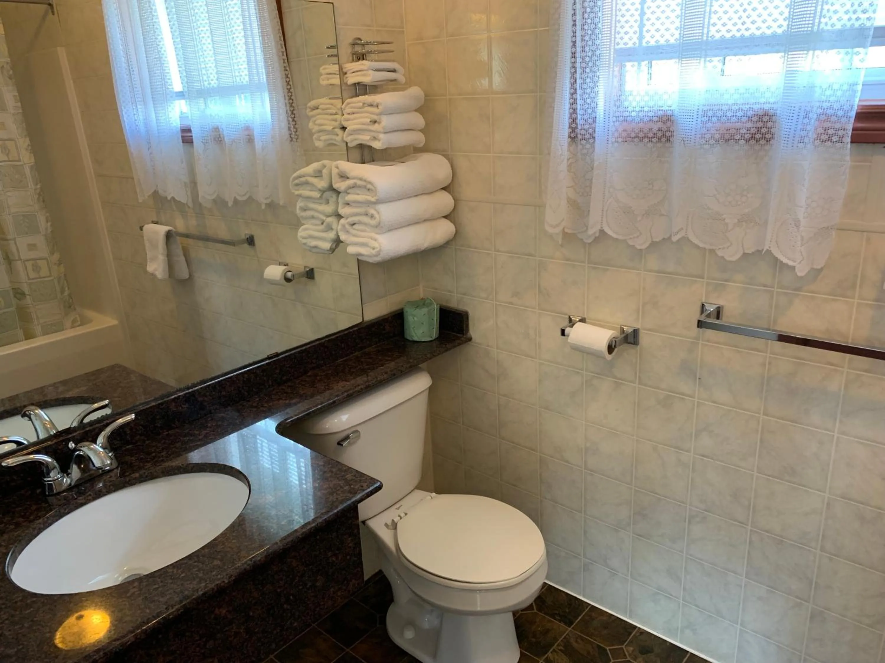 Bathroom in The Silver Birch Motel