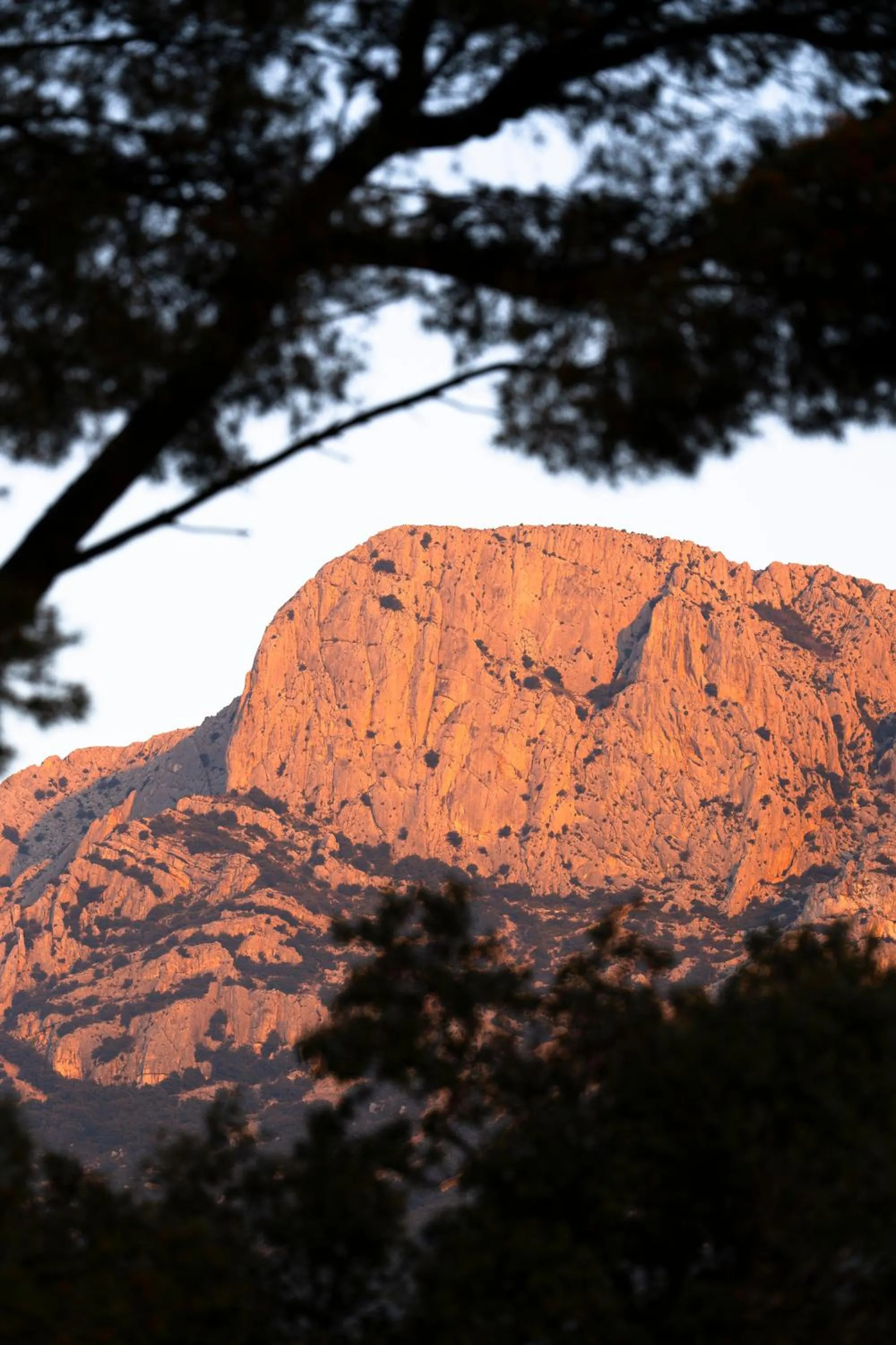 Restaurant/places to eat in Le Relais de Saint de Ser