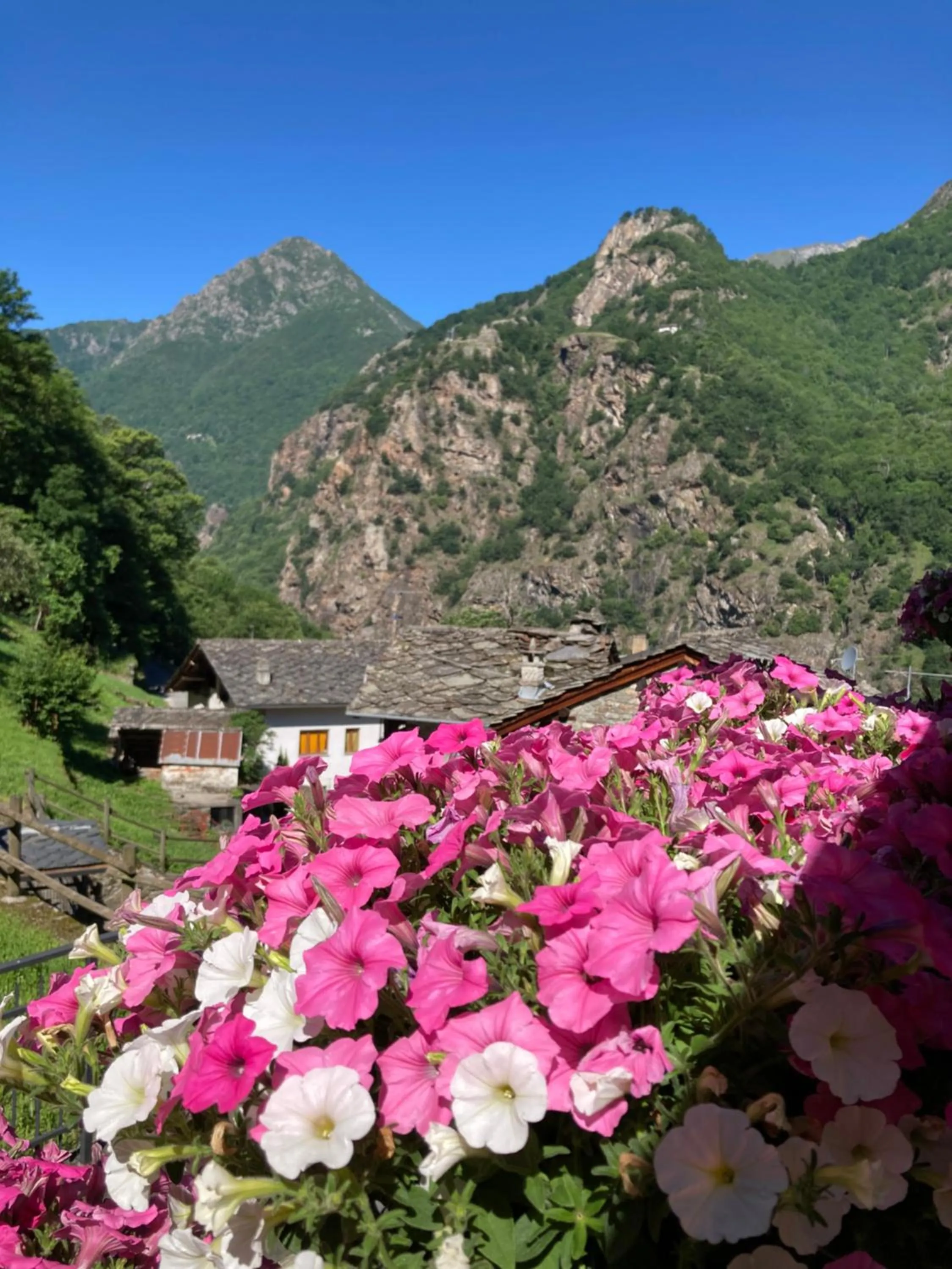 Natural landscape in B&B Maison Vallomy