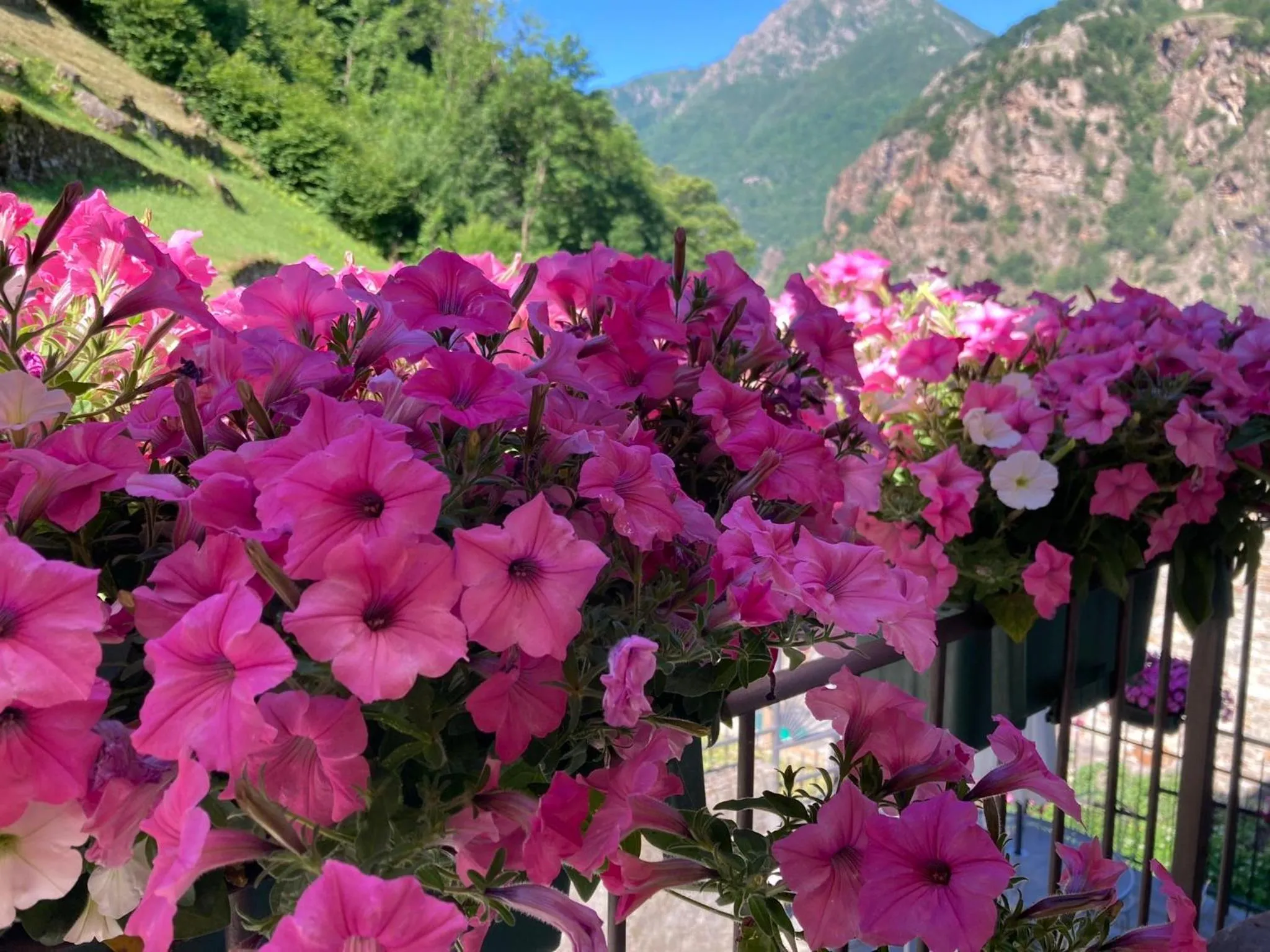 Natural landscape in B&B Maison Vallomy