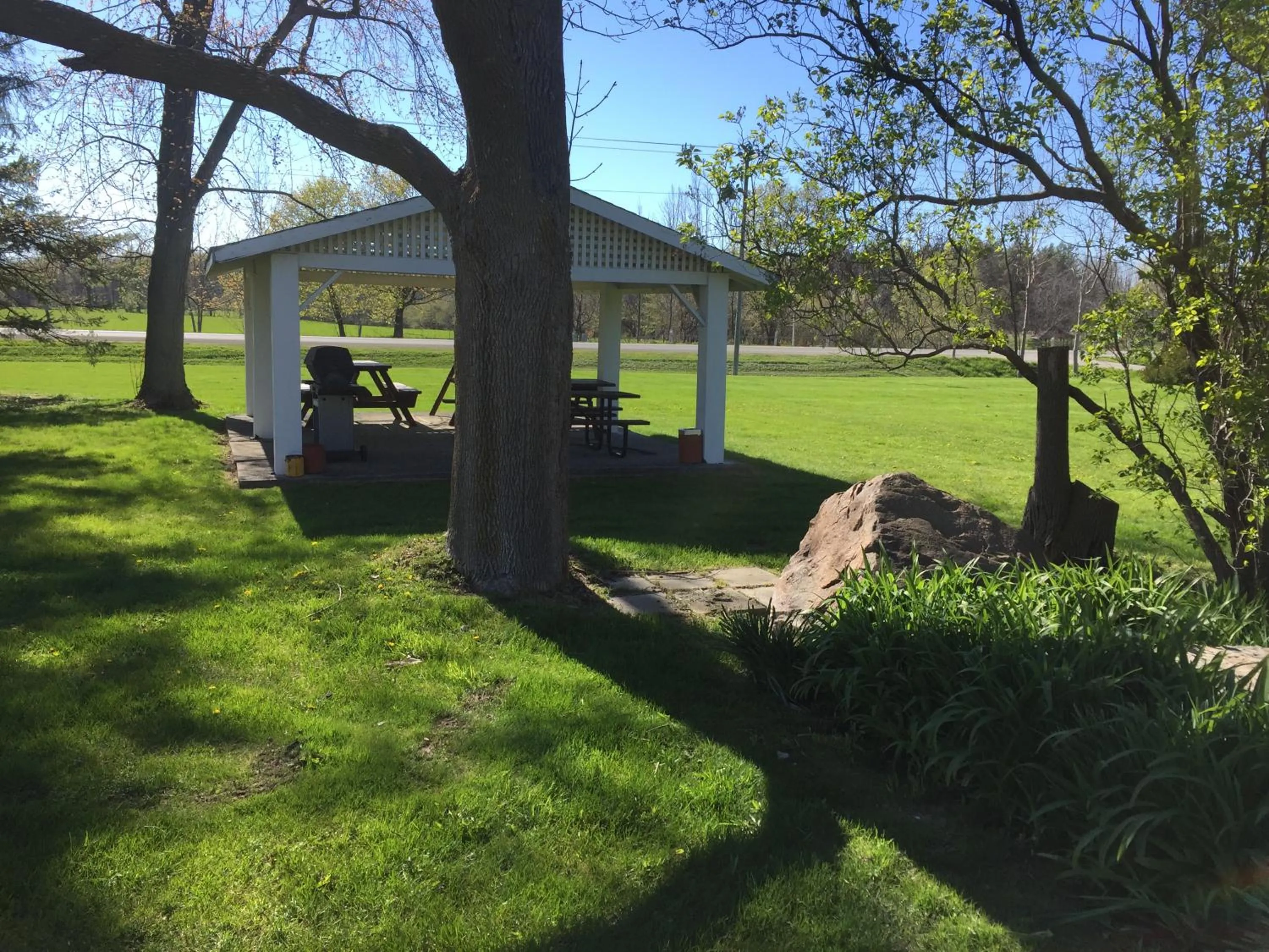 Garden in Dunlop Motel