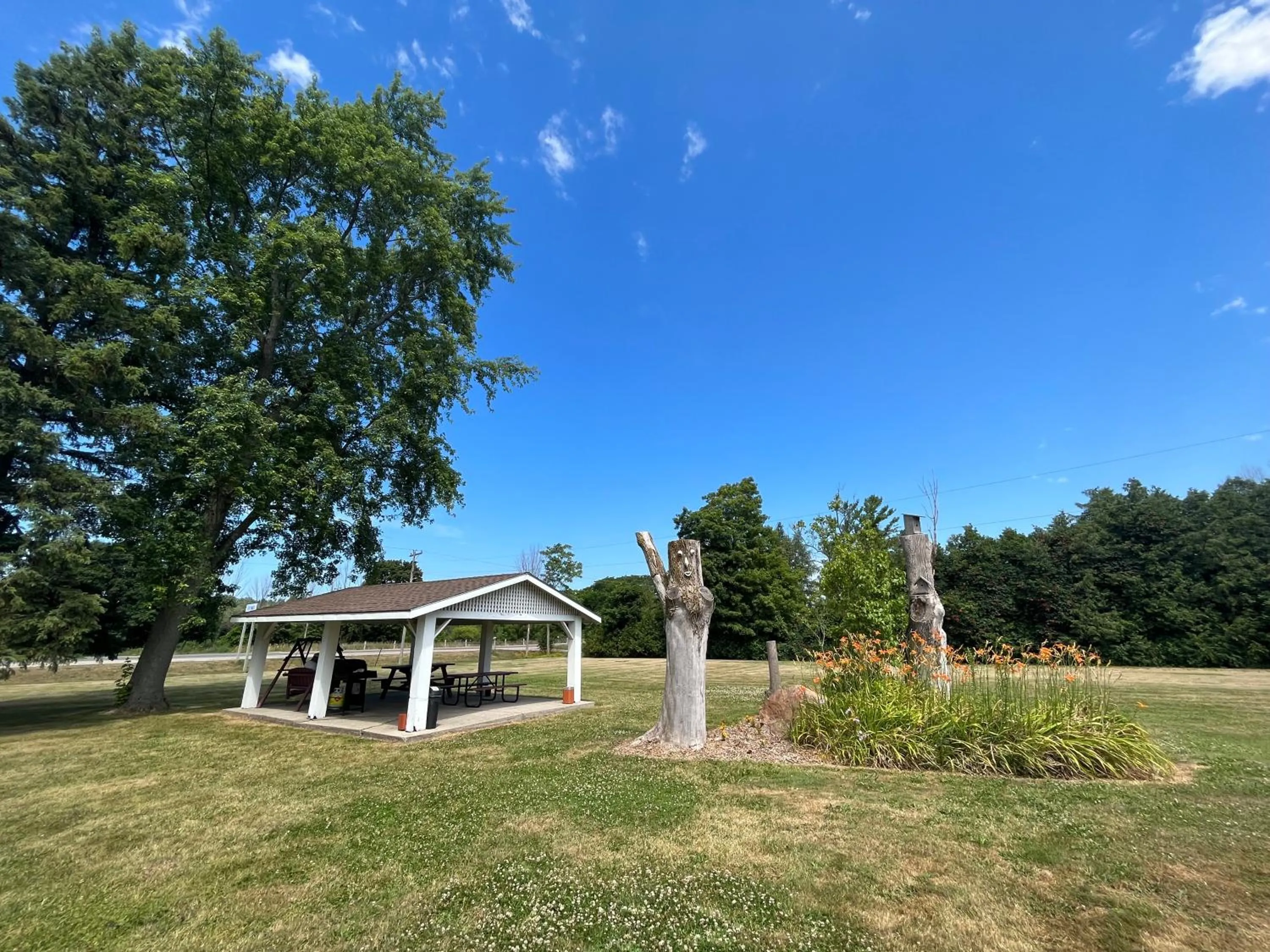 Garden in Dunlop Motel