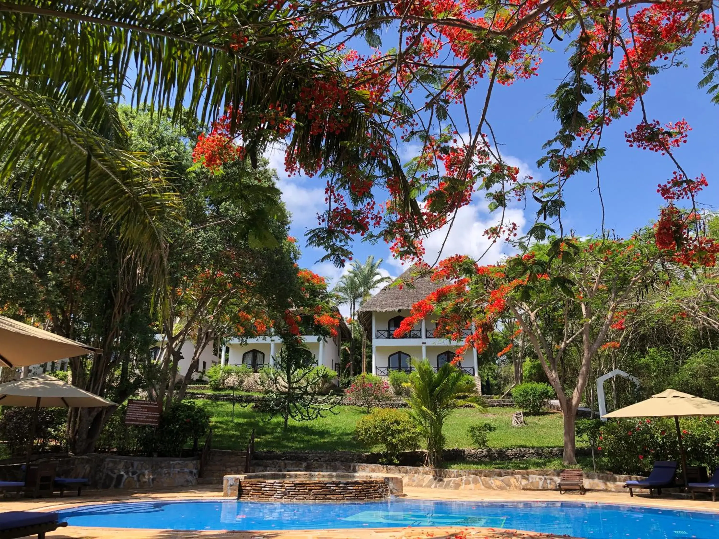 Club Room With Pool View - single occupancy in Bluebay Beach Resort & Spa Club Room With Pool View - single occupancy in Bluebay Beach Resort & Spa