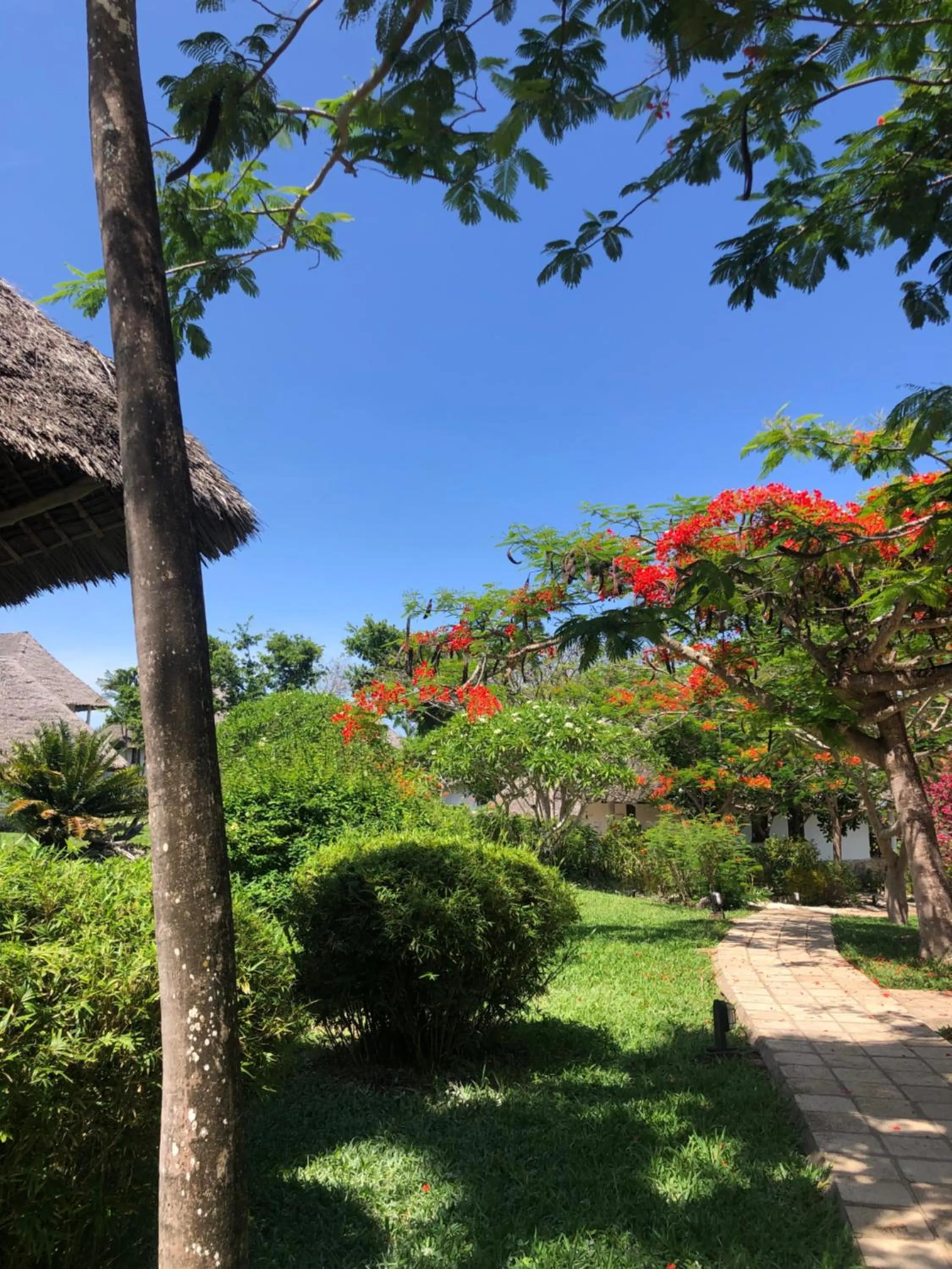 Bluebay Beach Resort & Spa