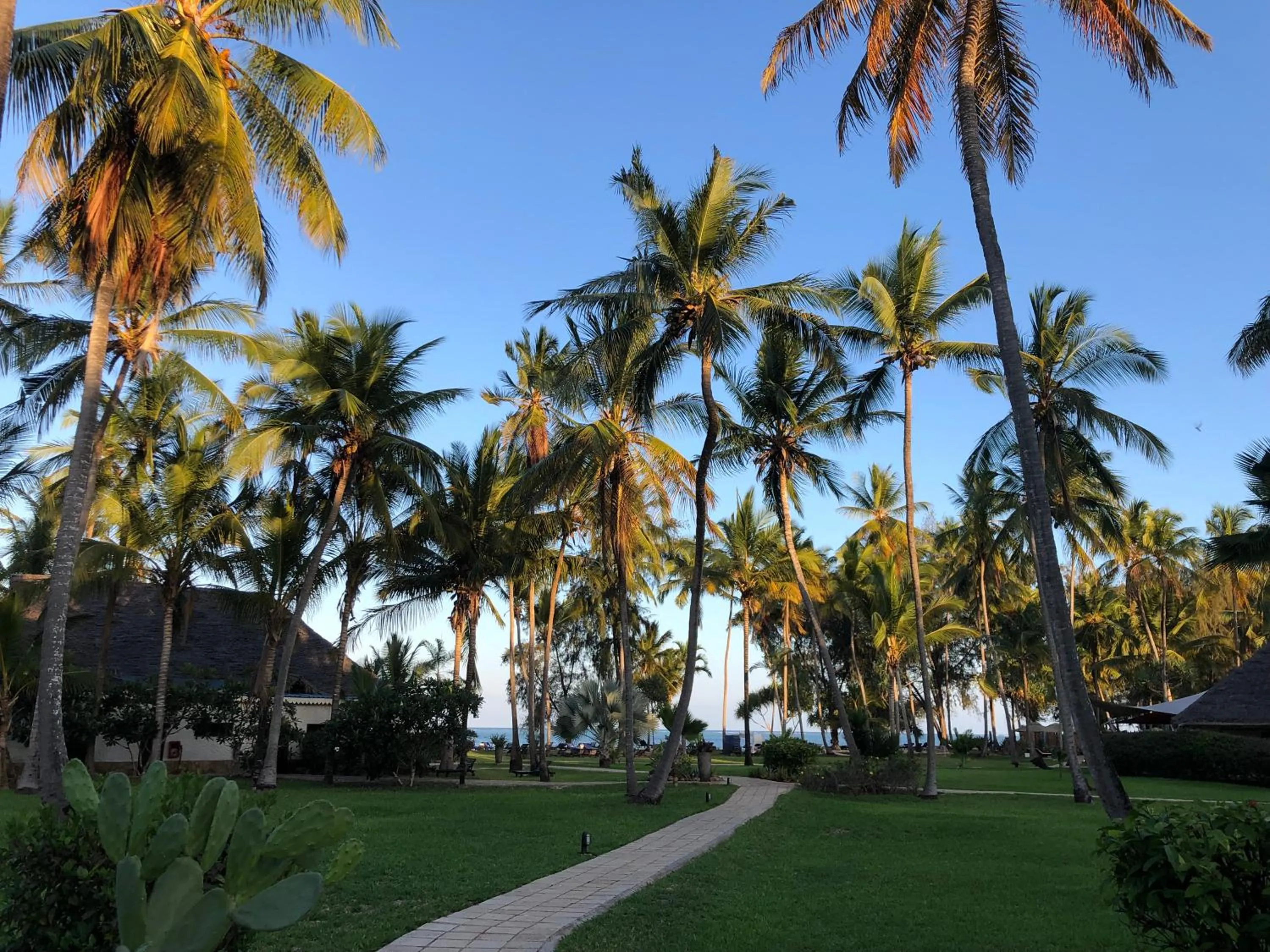 Garden in Bluebay Beach Resort & Spa