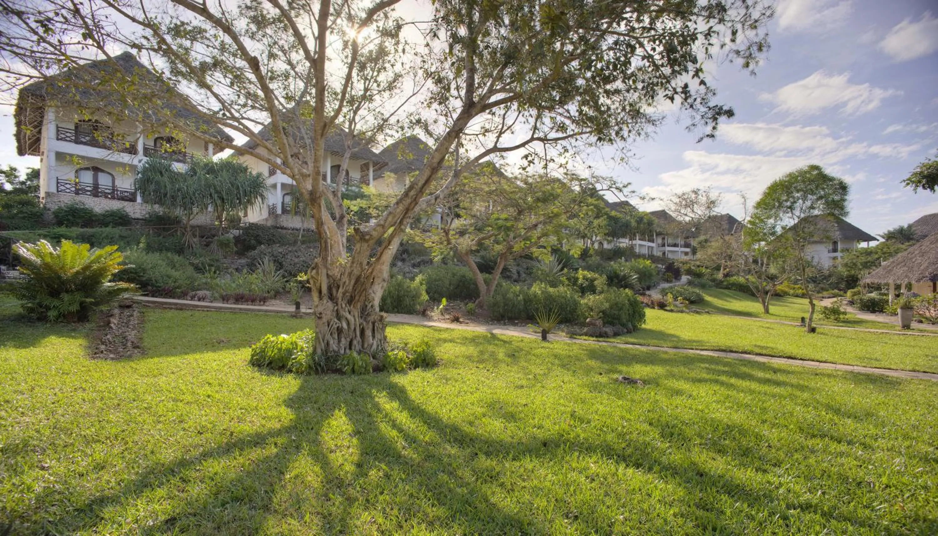 Garden in Bluebay Beach Resort & Spa