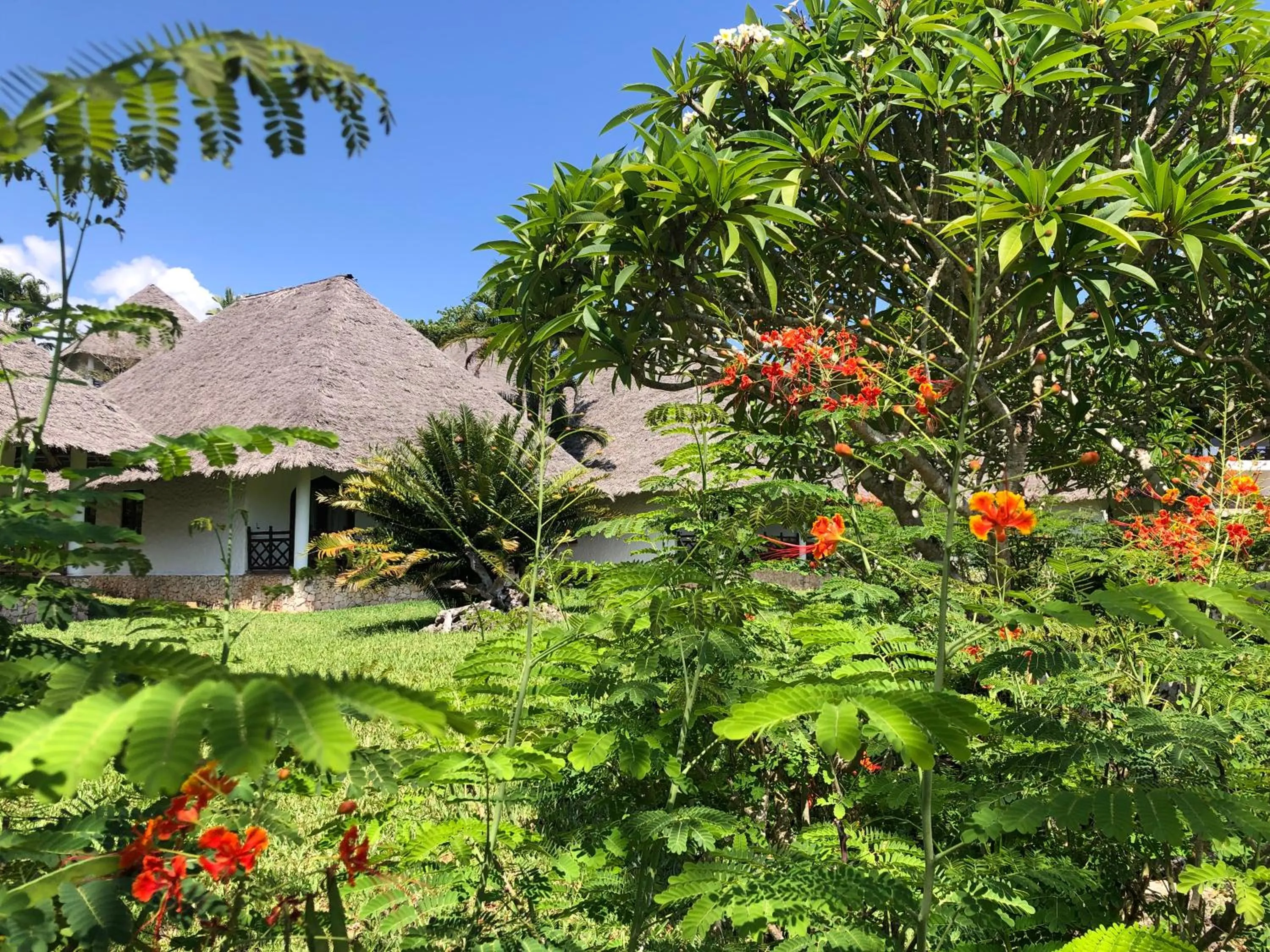 Bluebay Beach Resort & Spa