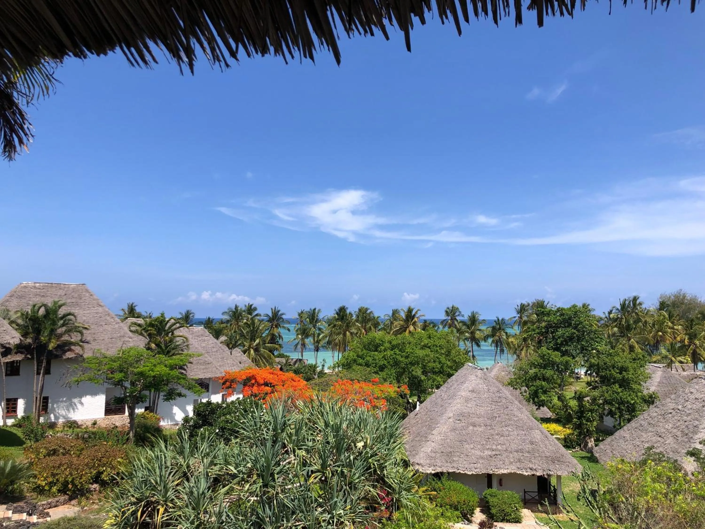 Garden in Bluebay Beach Resort & Spa
