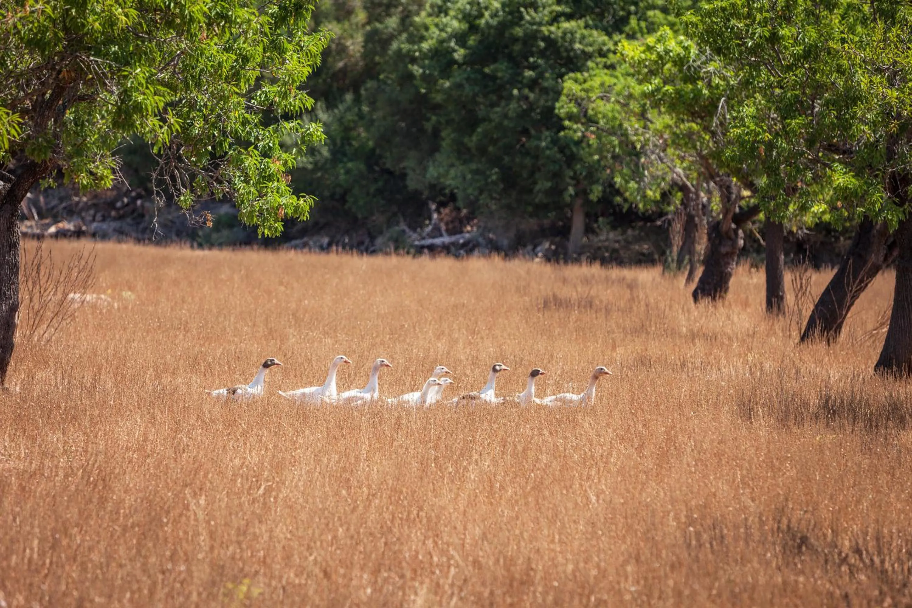 View (from property/room) in Hotel Llenaire