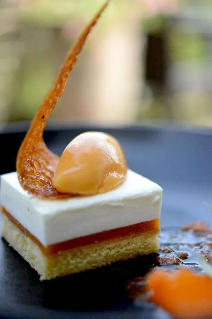 Patio in Château de Champlong Table Hôtel **** Golf & Spa