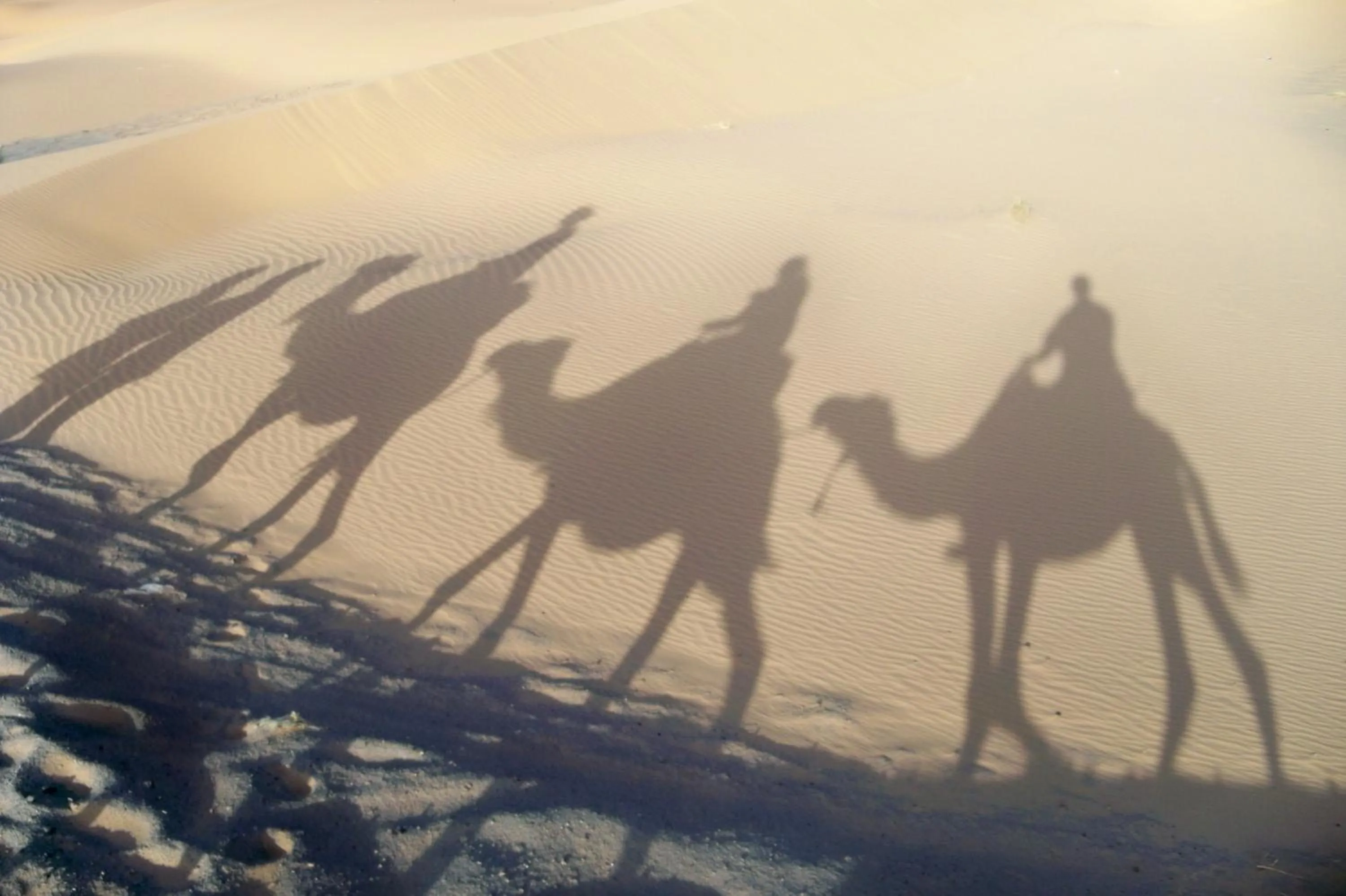 Property building in Kasbah Tamariste