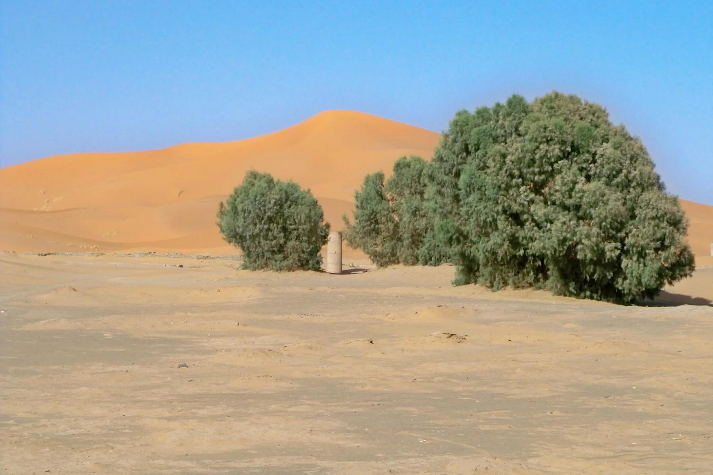 Garden in Kasbah Tamariste