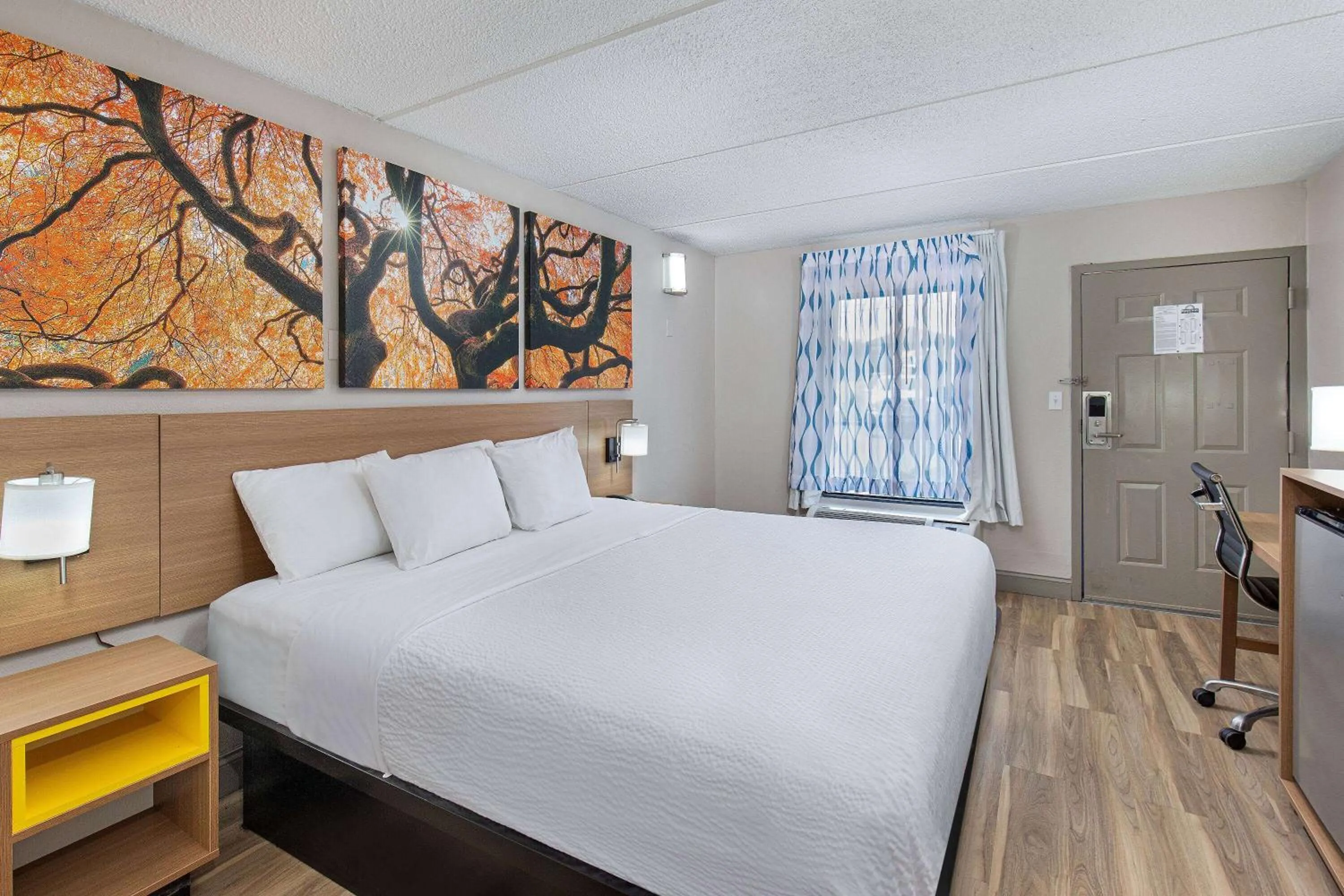 Photo of the whole room, Bed in Days Inn by Wyndham Knoxville North