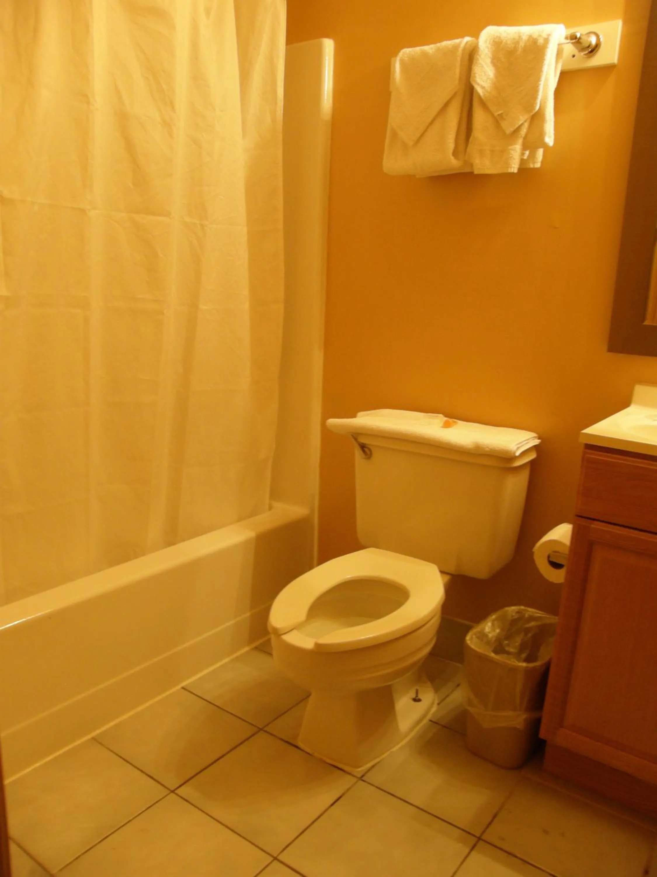 Toilet in Americas Best Value Inn Stone Mountain Atlanta E