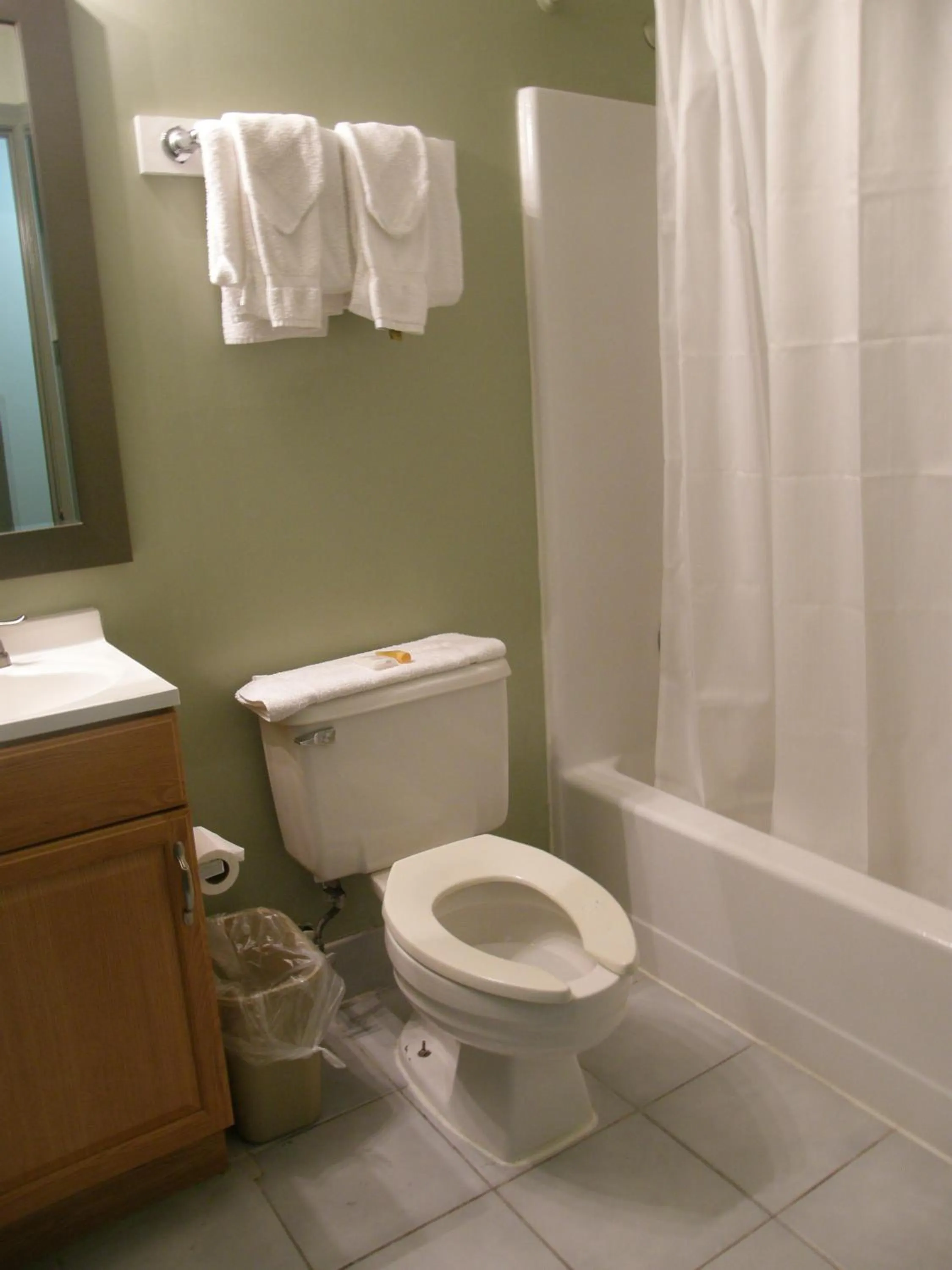 Toilet in Americas Best Value Inn Stone Mountain Atlanta E