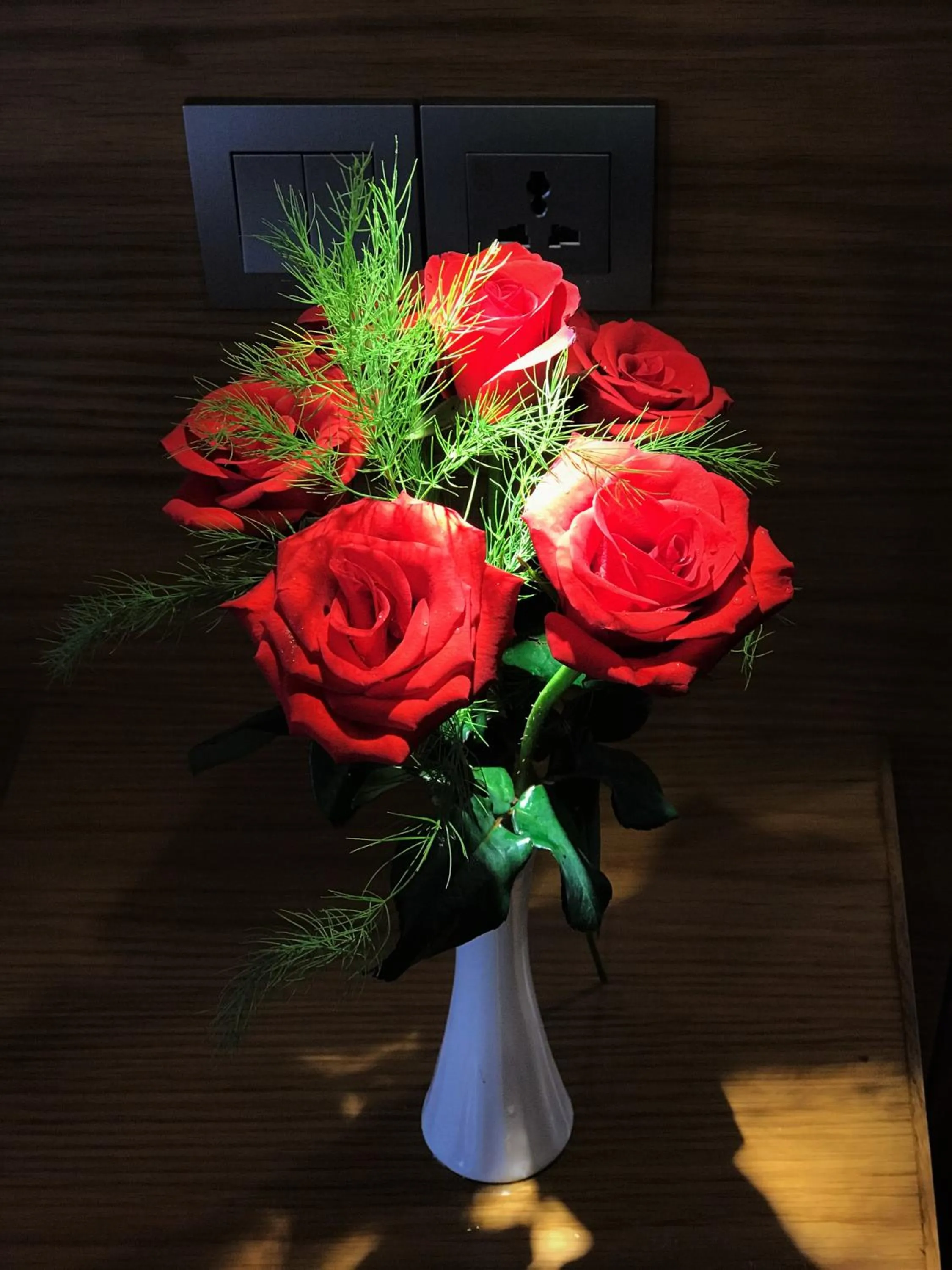 Imperial Saigon hotel