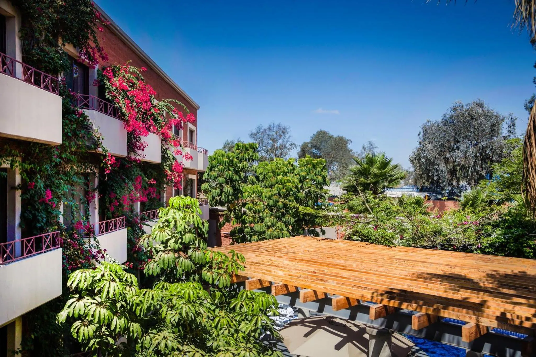 Property building in Gamma Tijuana