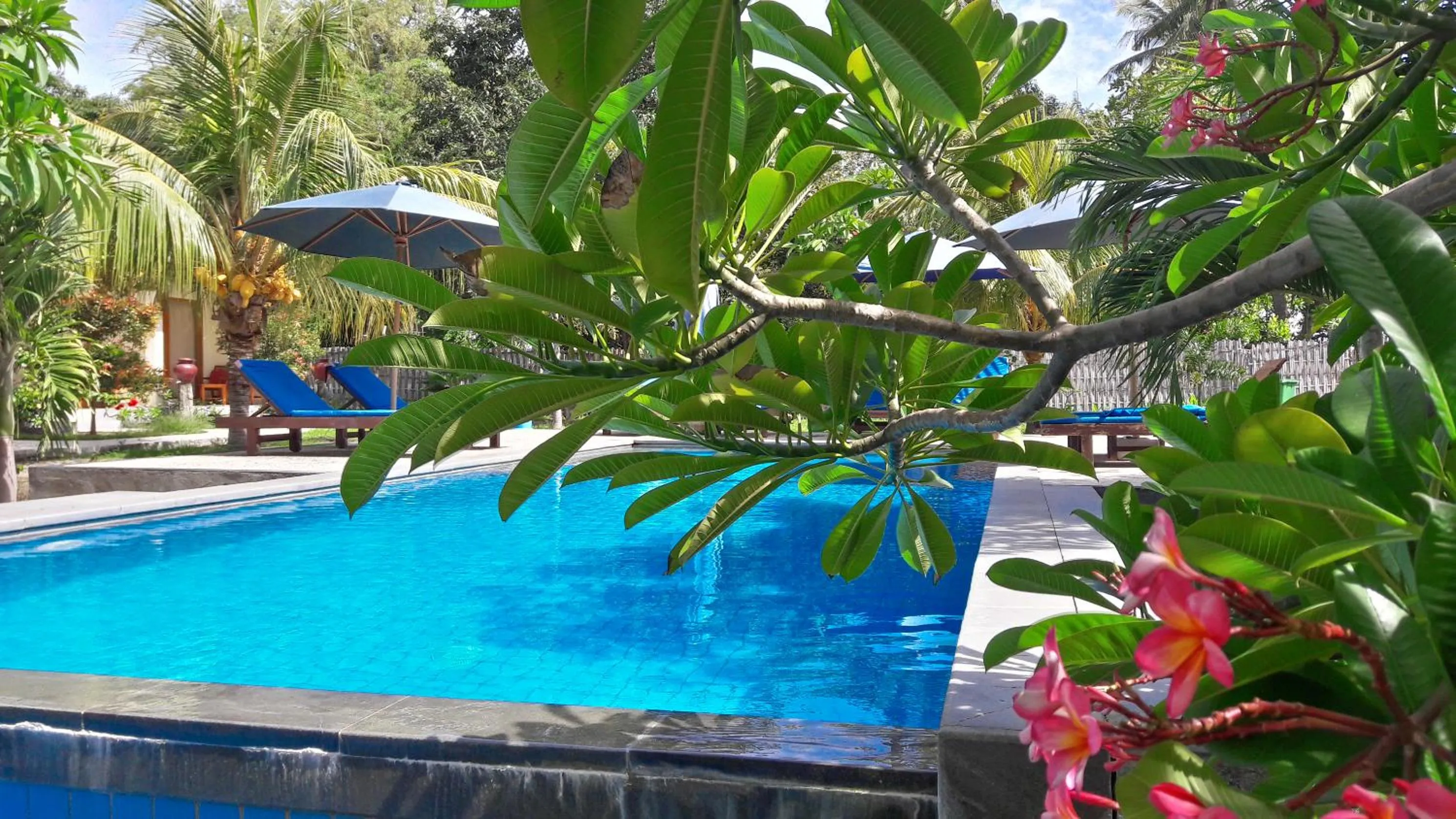 Pool view in Salili Bungalow