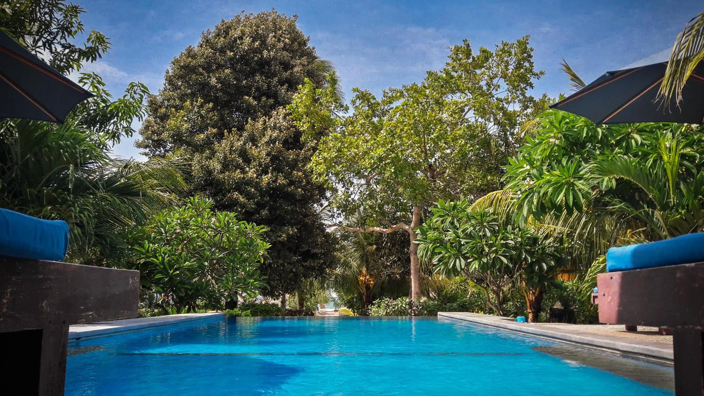 Swimming pool in Salili Bungalow